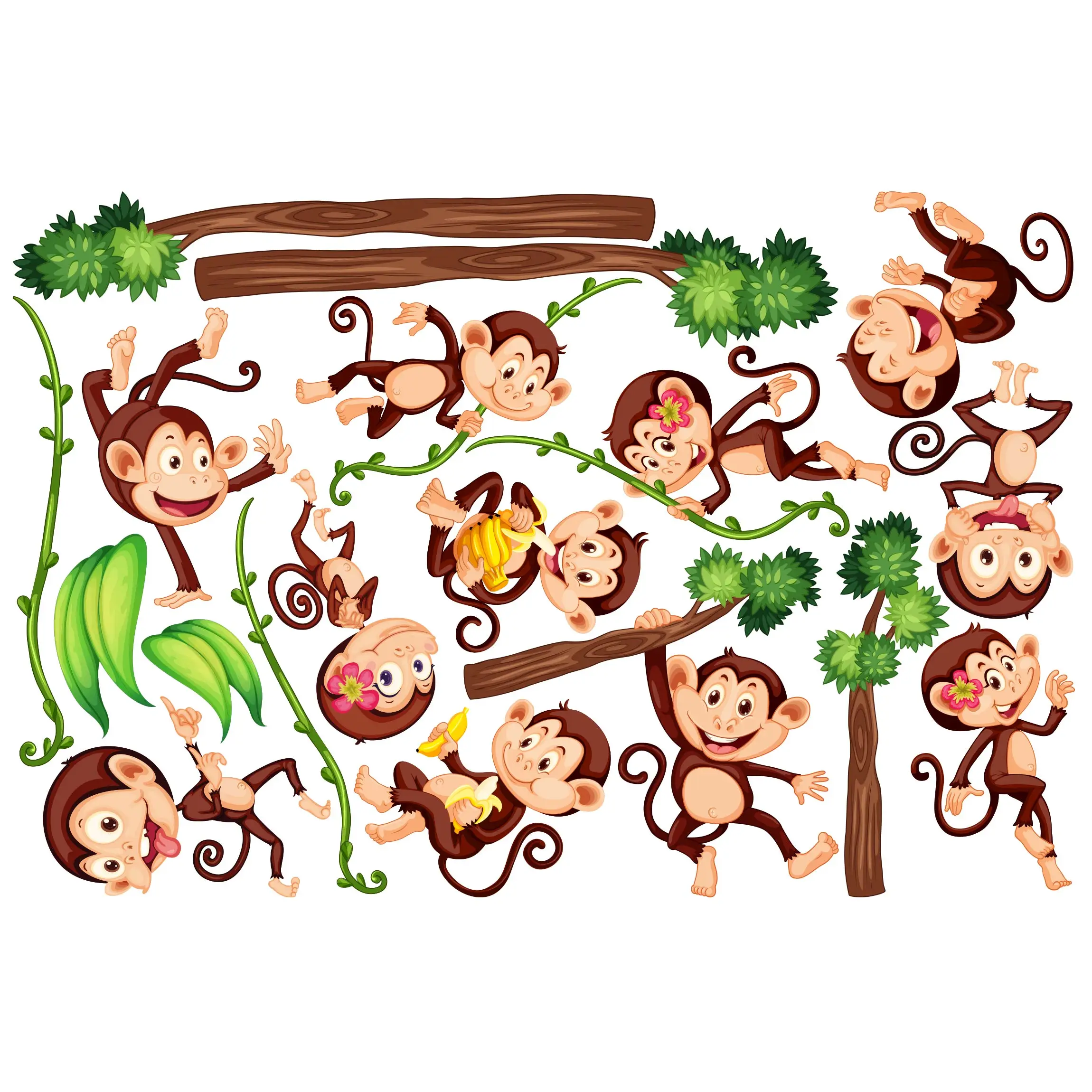 Affen des Dschungels