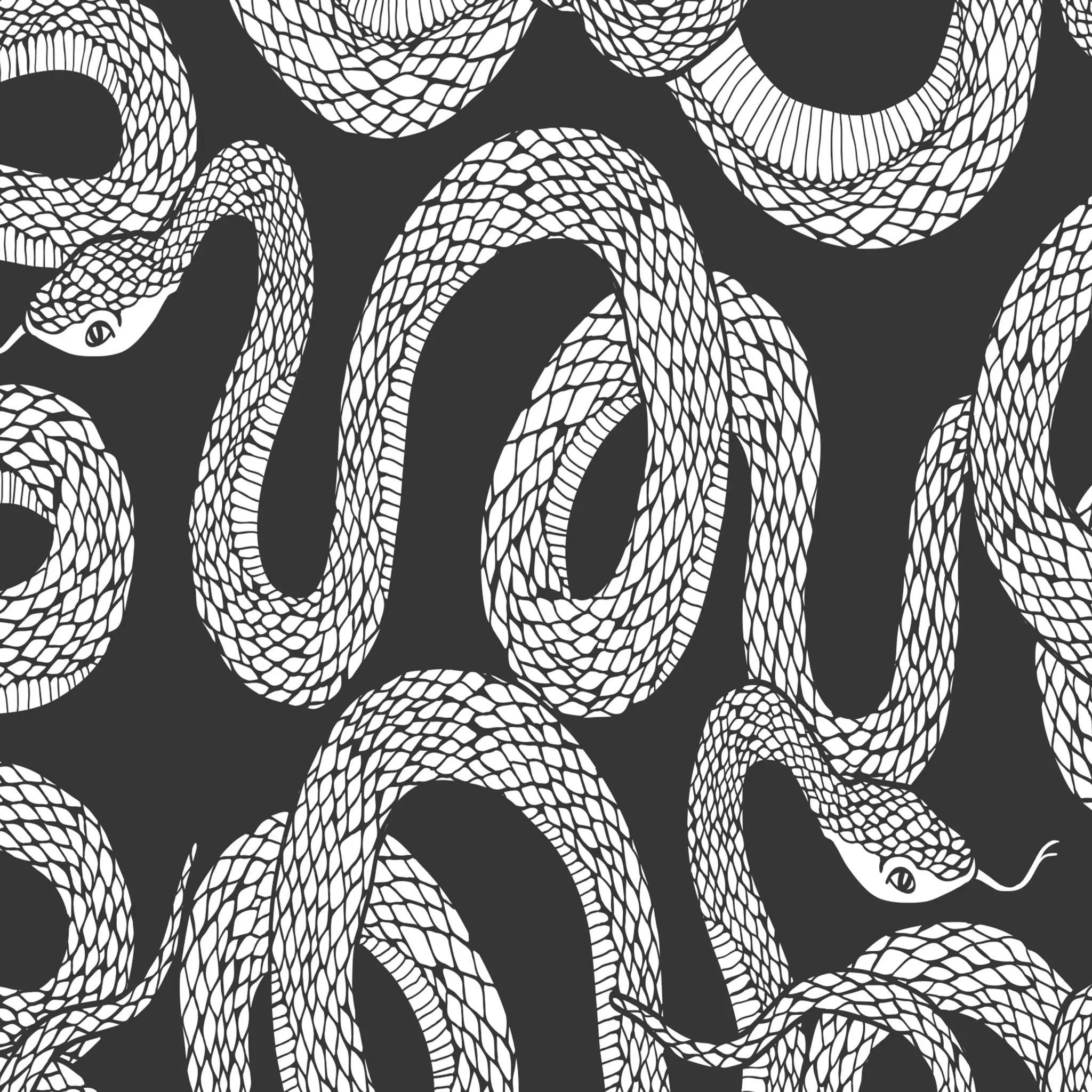 Wei脽 und Schwarz Schlangen Tapete