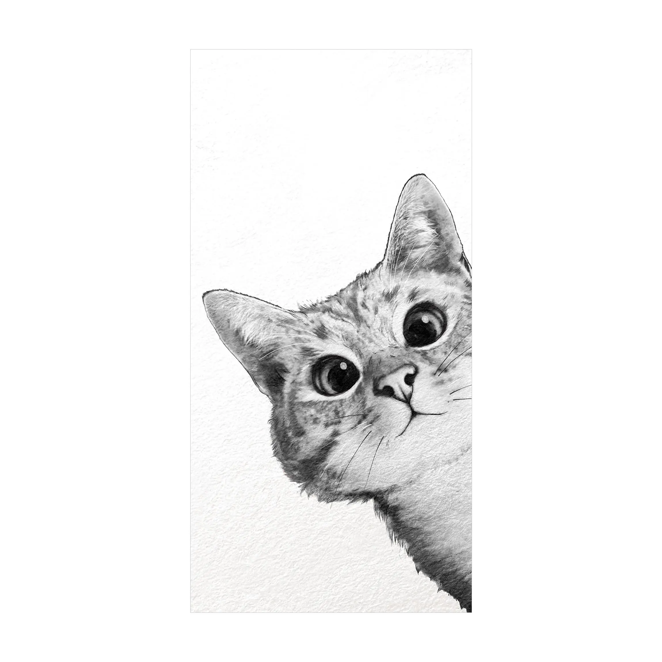 Zeichnung Wei脽 Schwarz Katze