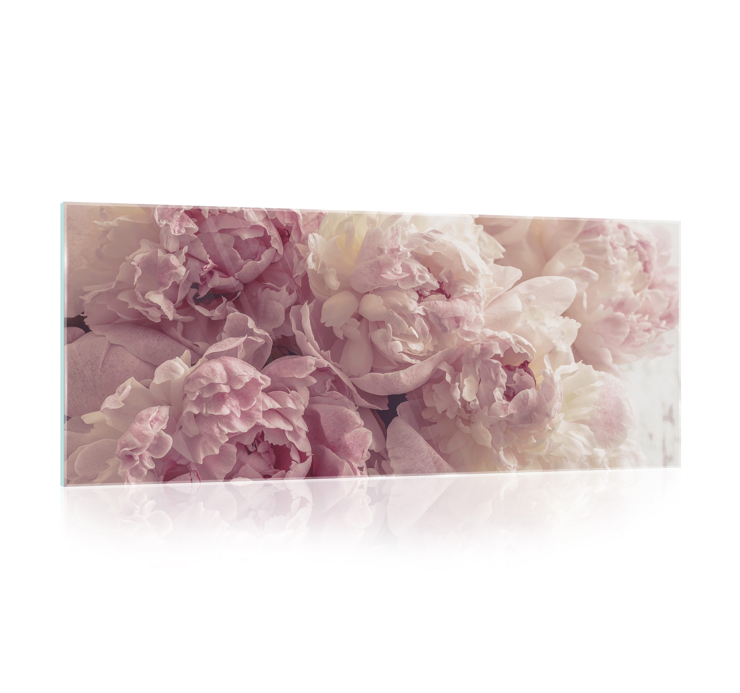 Glasbild Blumen Rosen Wohnzimmer kaufen