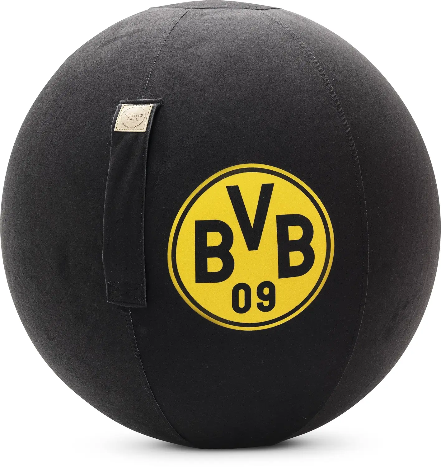 Borussia Sitzball BVB Dortmund