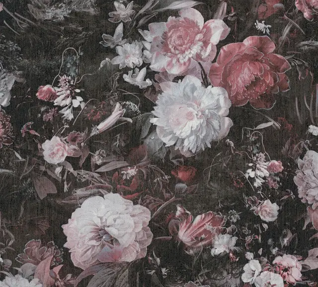 Blumentapete Rosen Rot Wei脽 Rosa Schwarz