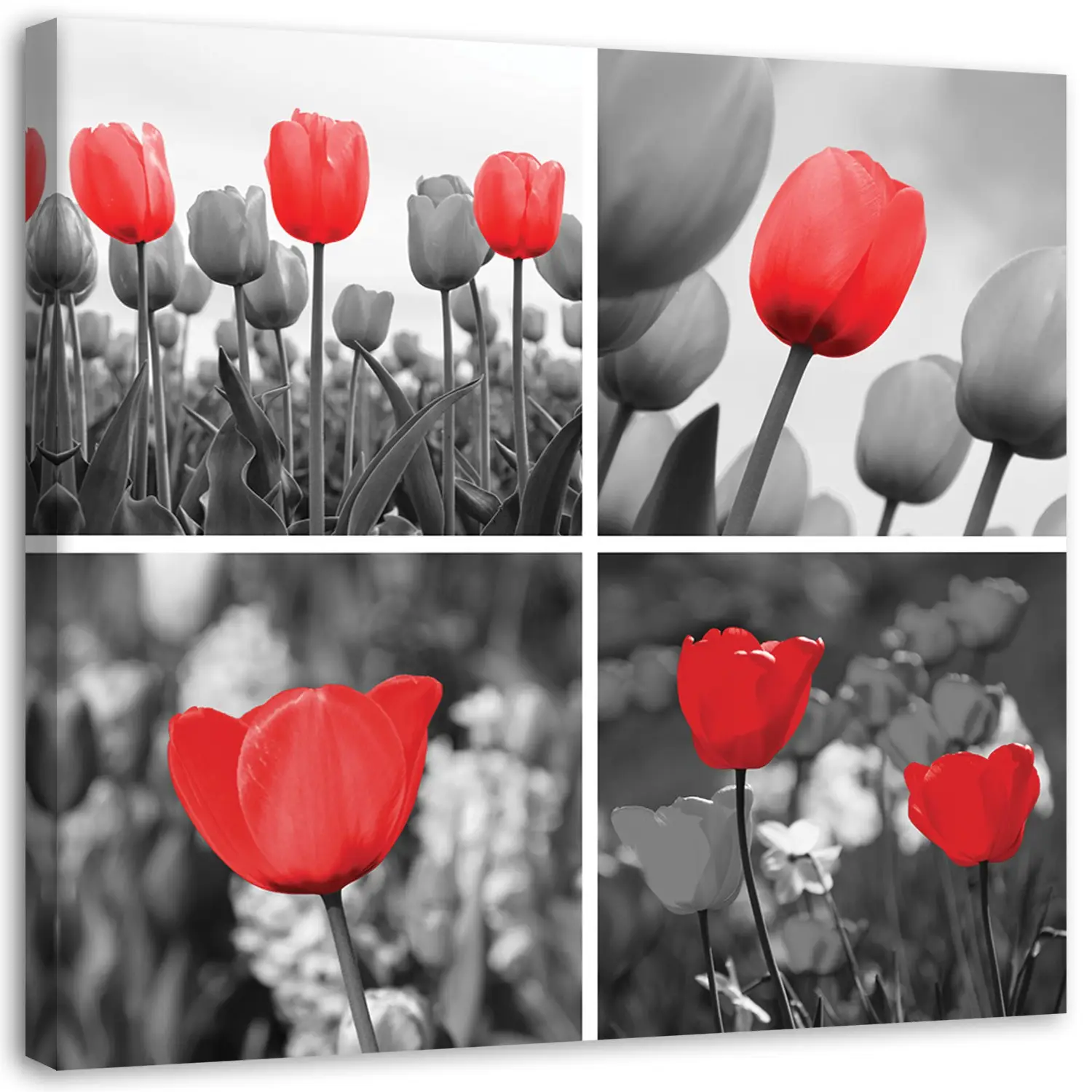 Wandbild Tulpen Natur Blumen Rote