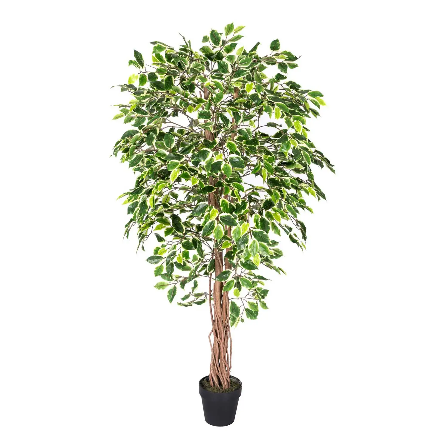 Kunstbaum Ficus Benjamini gr眉n wei脽