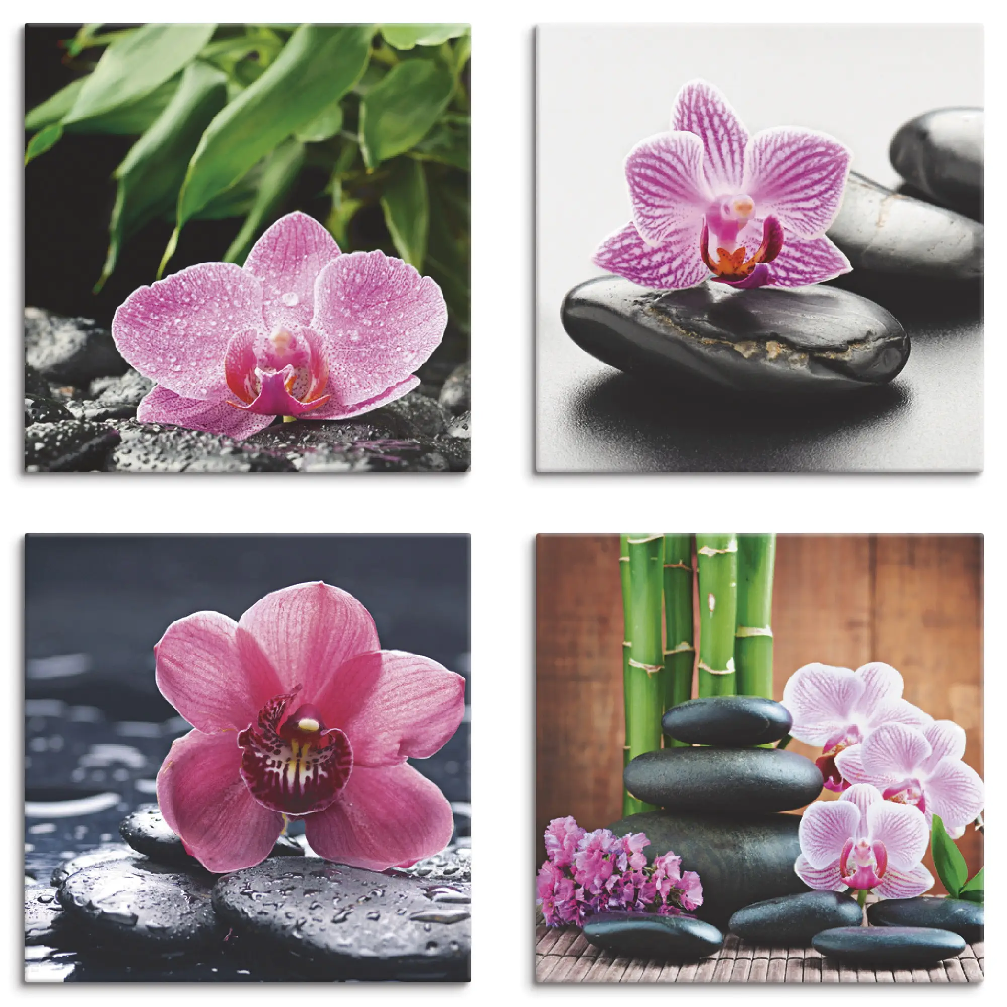 Orchideen Zen Set Leinwandbilder