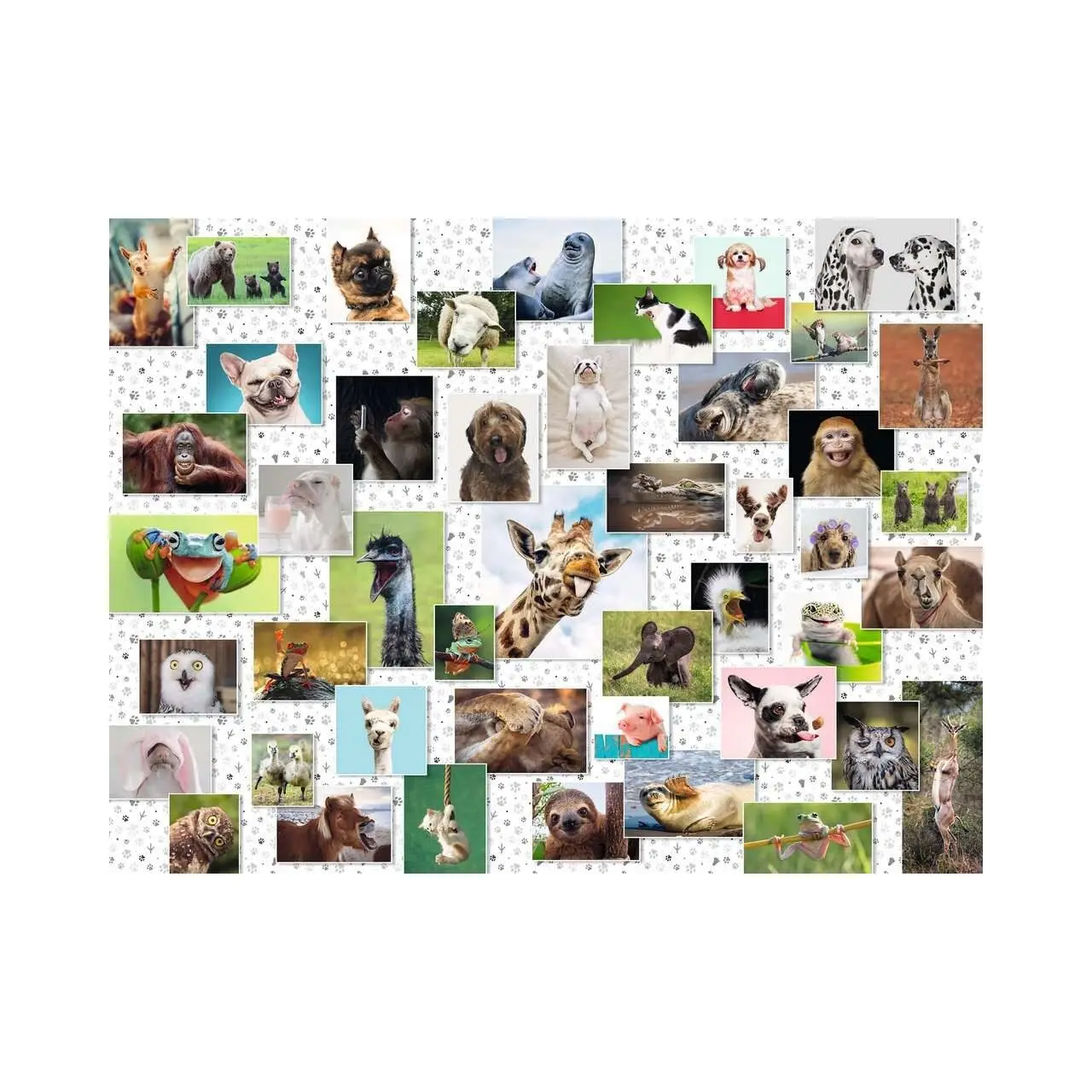 Puzzle Collage mit Tieren 1500 Teile