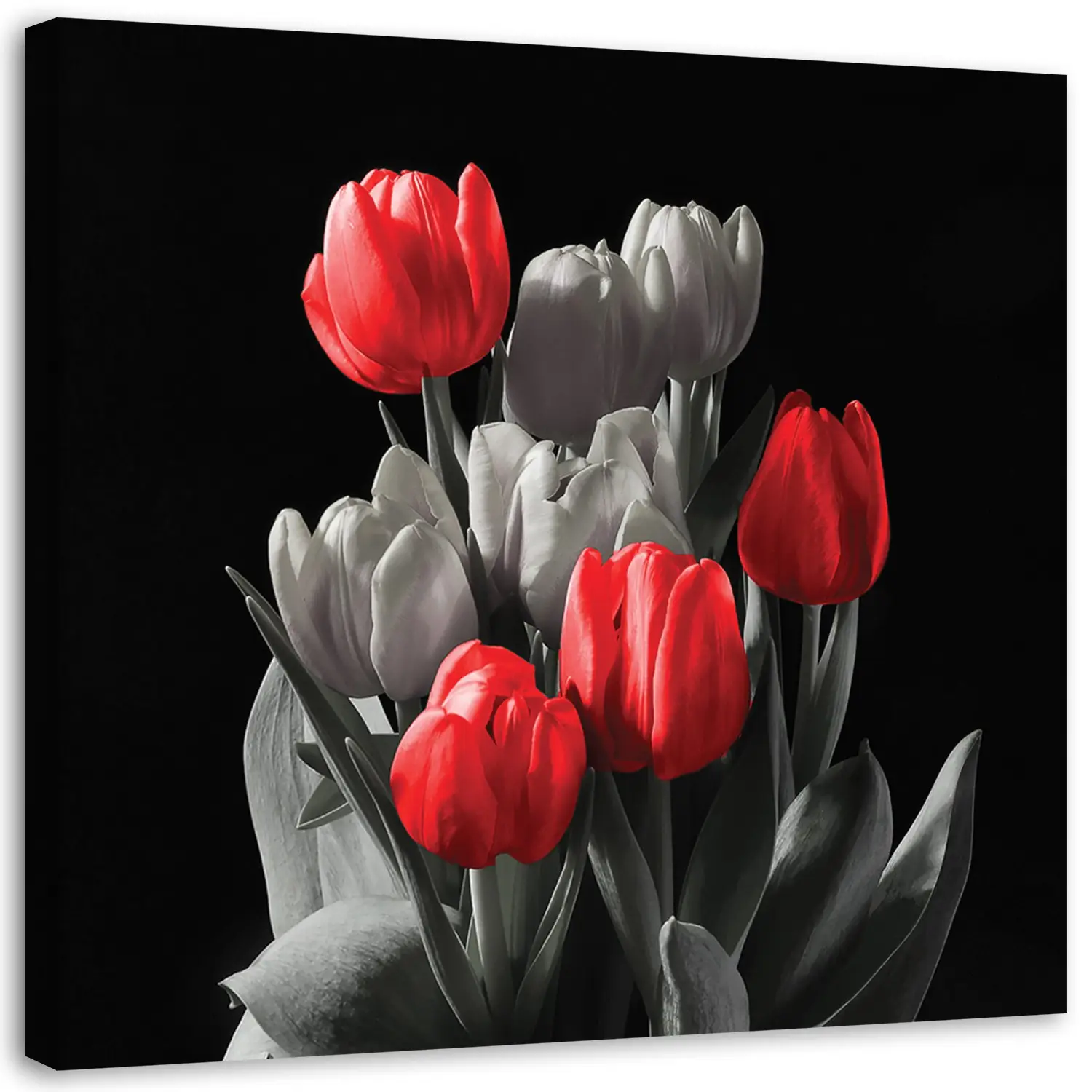 Leinwandbild Tulpen Rot Natur Blumen