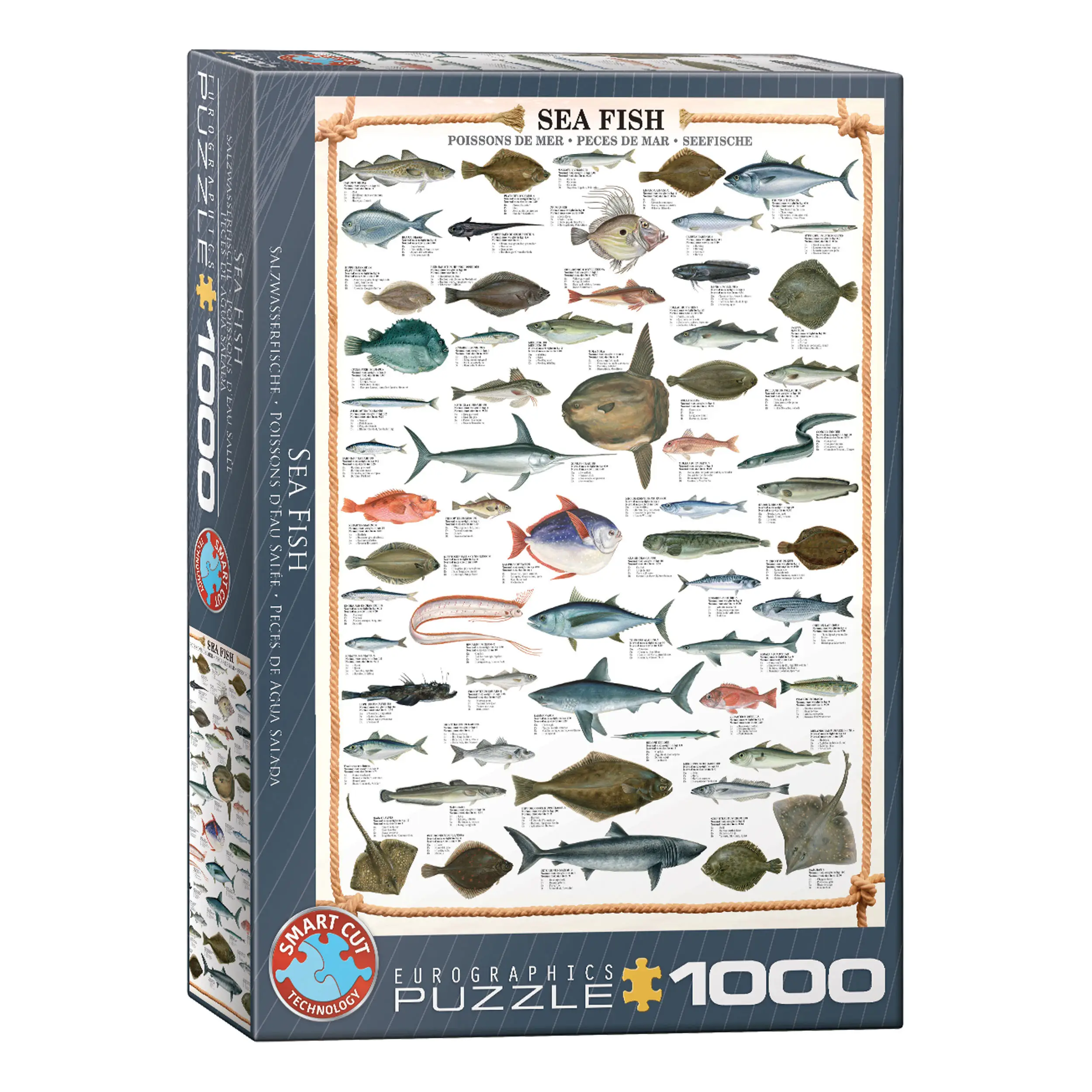 Fische Puzzle Die Teile 1000