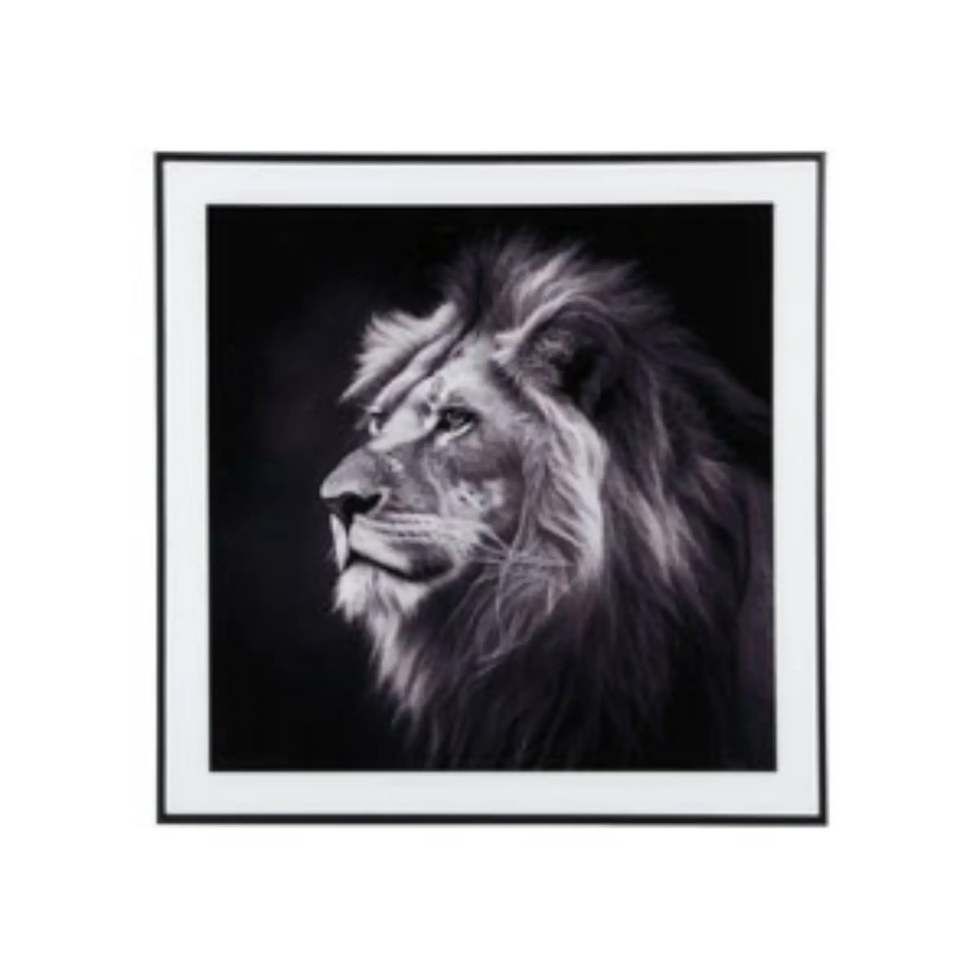 Lion Wandkunst