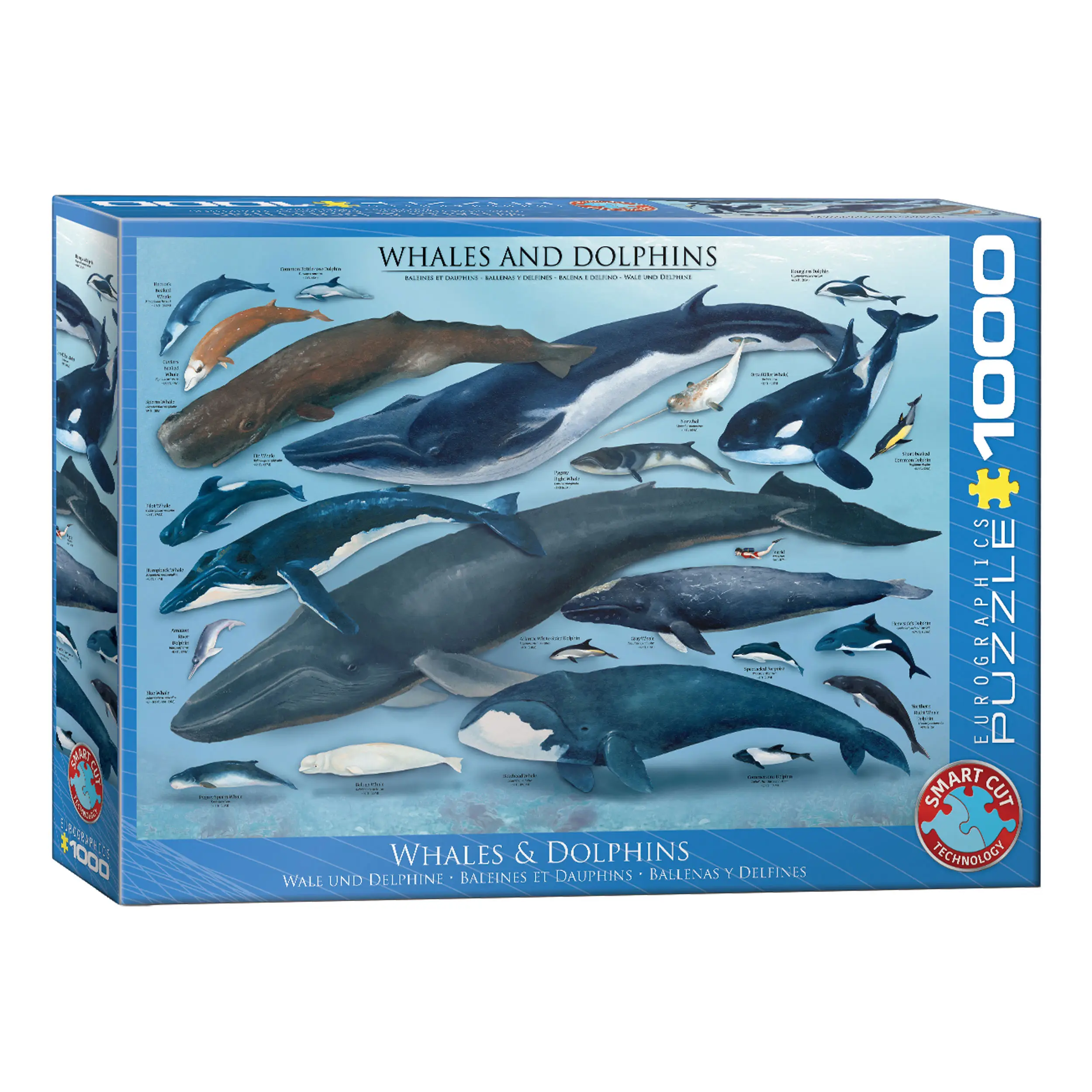 Puzzle Delfine und Wale Teile 1000