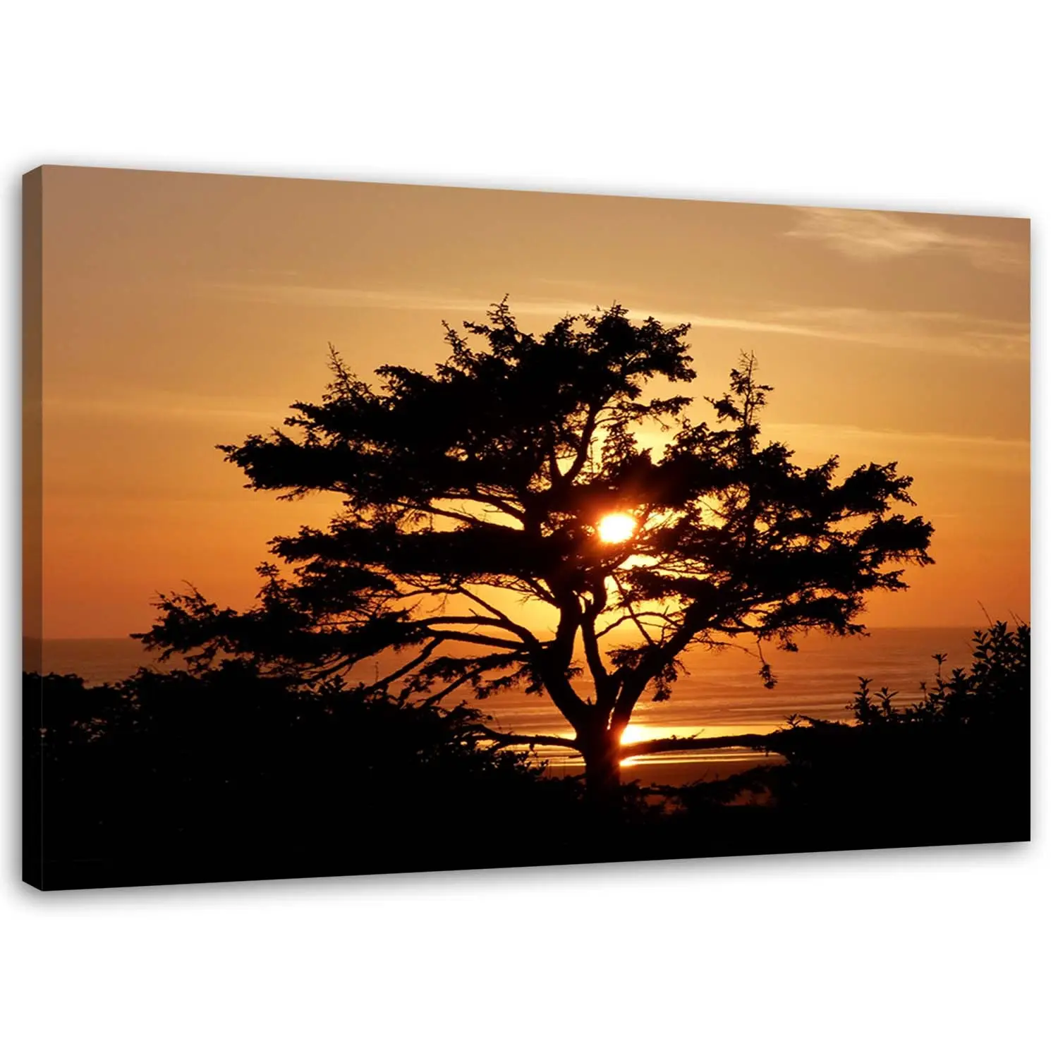 Wandbild Baum Sonnenuntergang Landschaft
