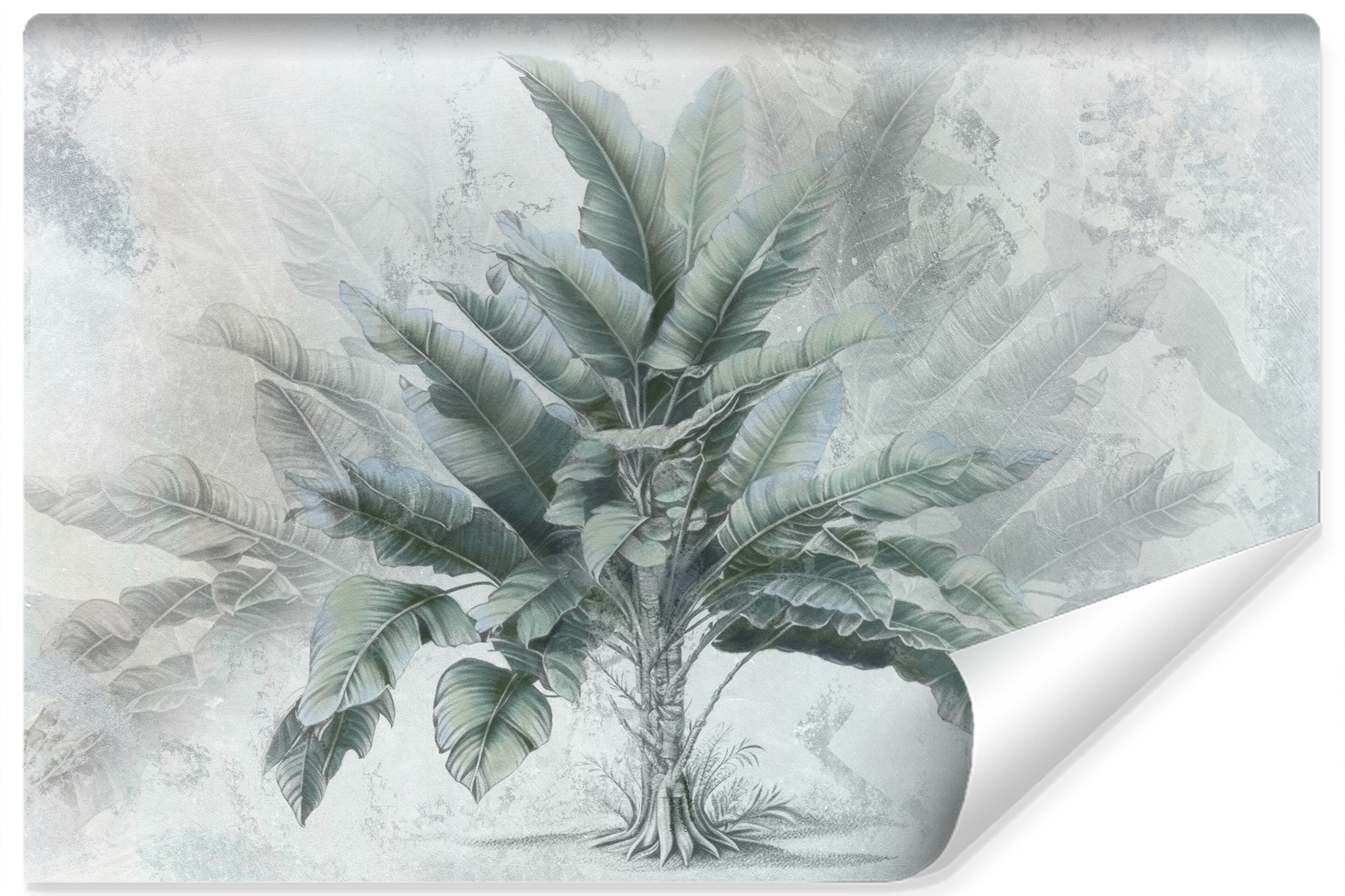 Papier Peint Photo 3D Mural Autocollant Feuille De Bananier