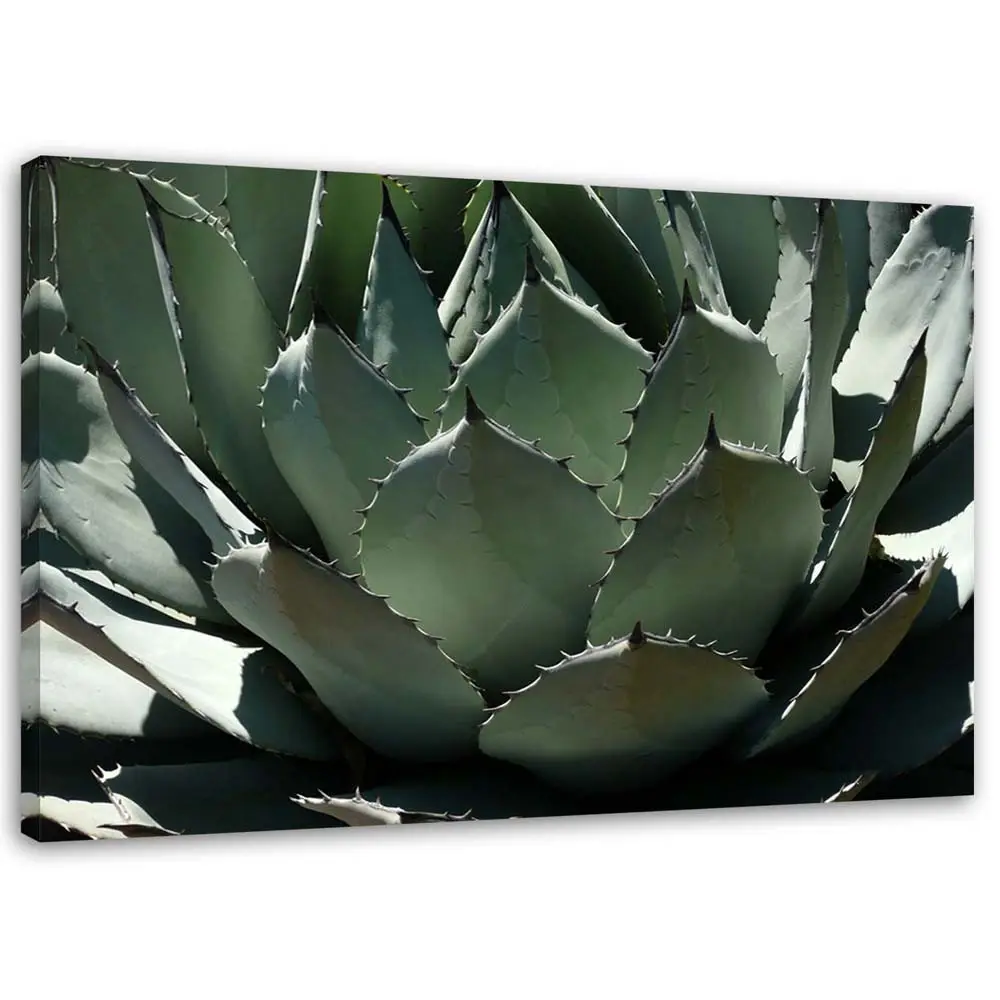 Wandbilder Kaktus Kakteen Gr眉n Blumen