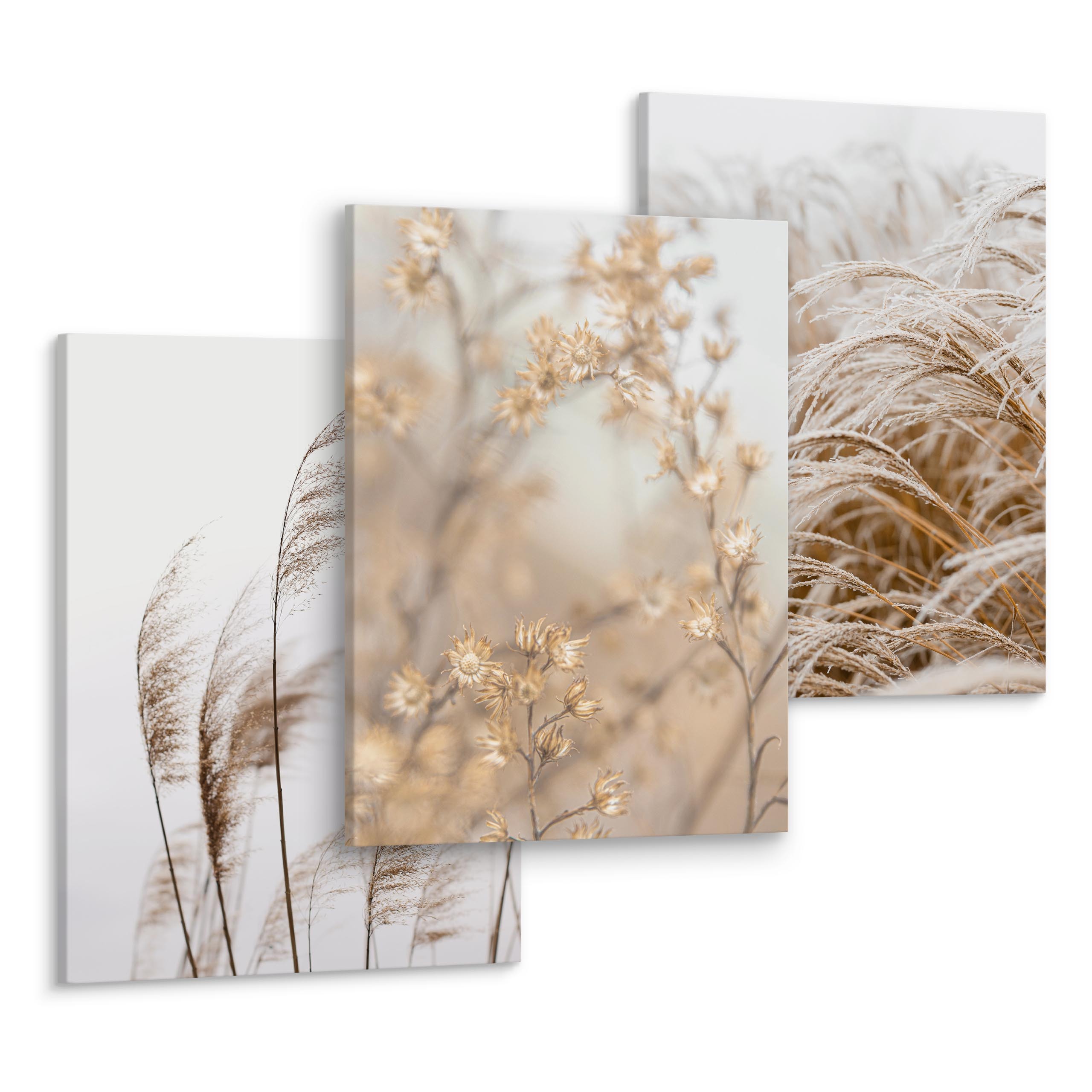 Muralo Leinwandbild 30x20 Cm Gewürze Pflanzen - Wandbild Küche Kräuter Grün