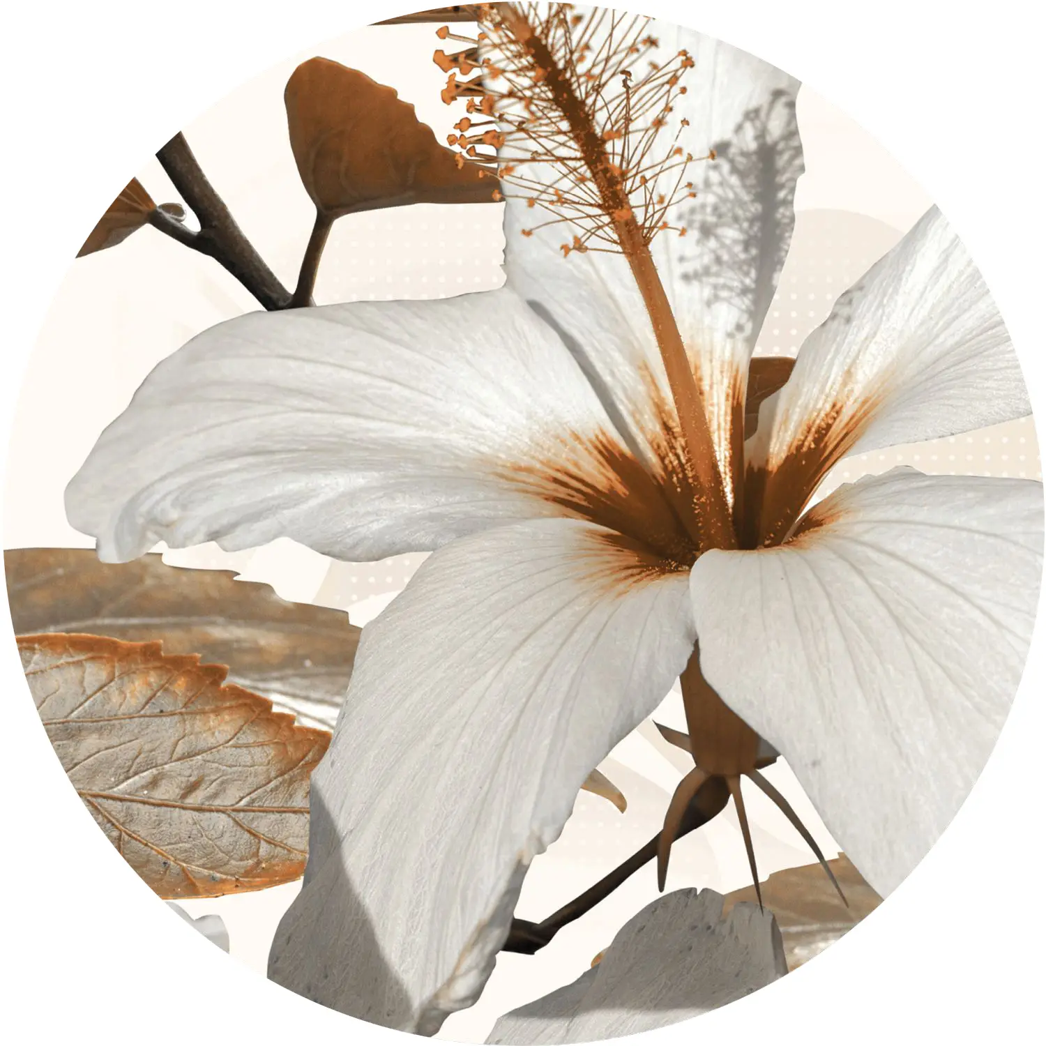 selbstklebende Blume runde Lilie Tapete