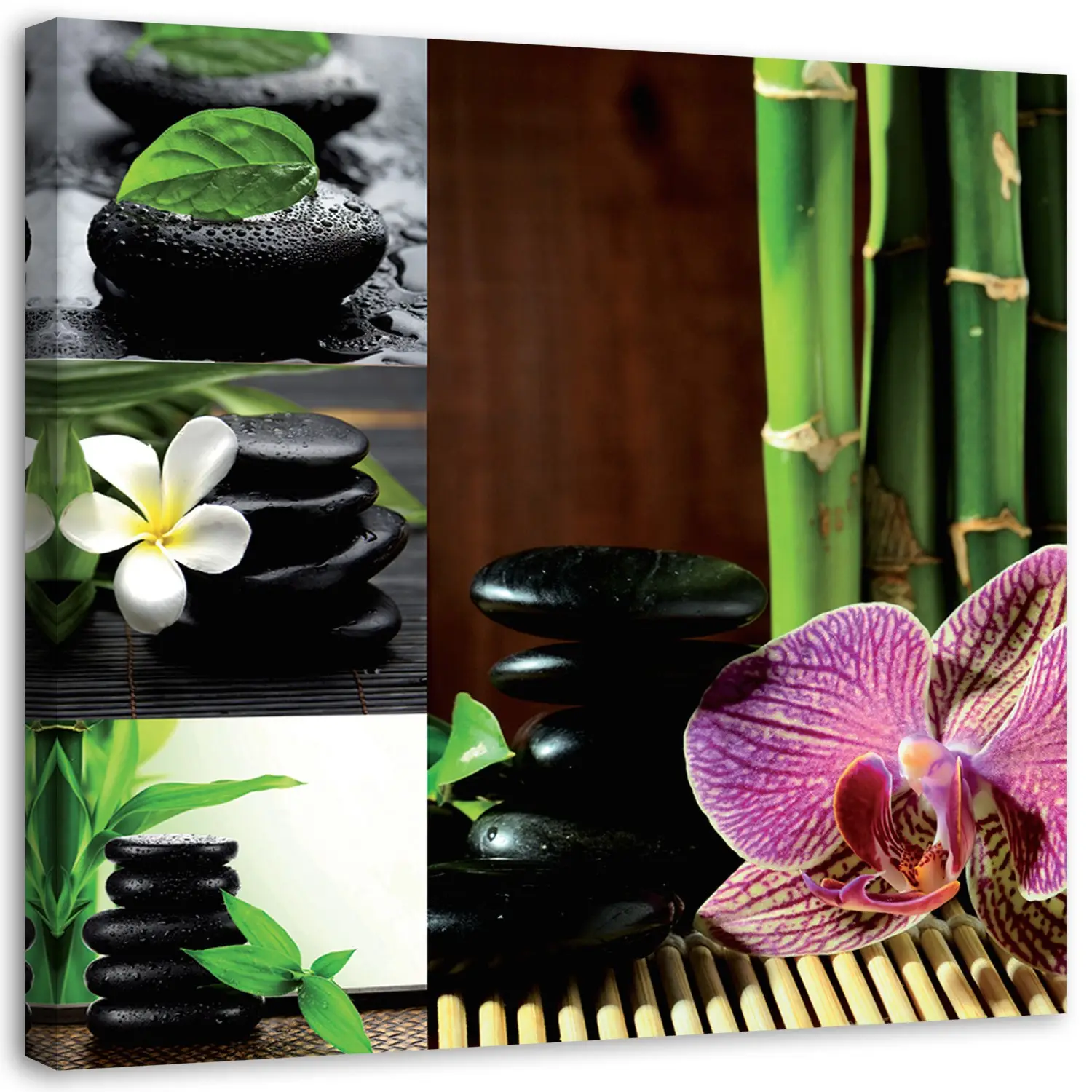 Wandbilder Zen Steine Bambus Orchidee
