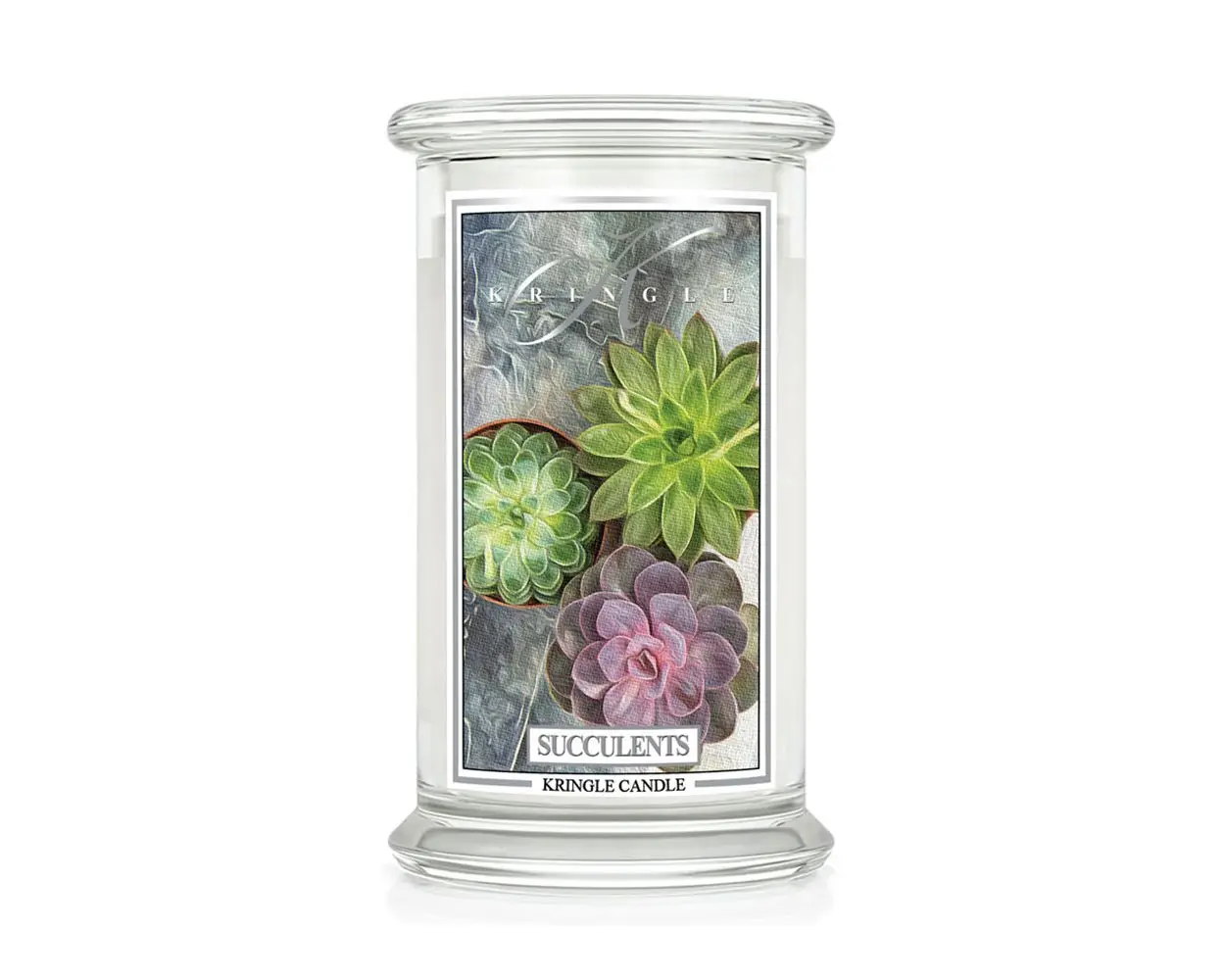 Gro脽e Classic Candle Succulents