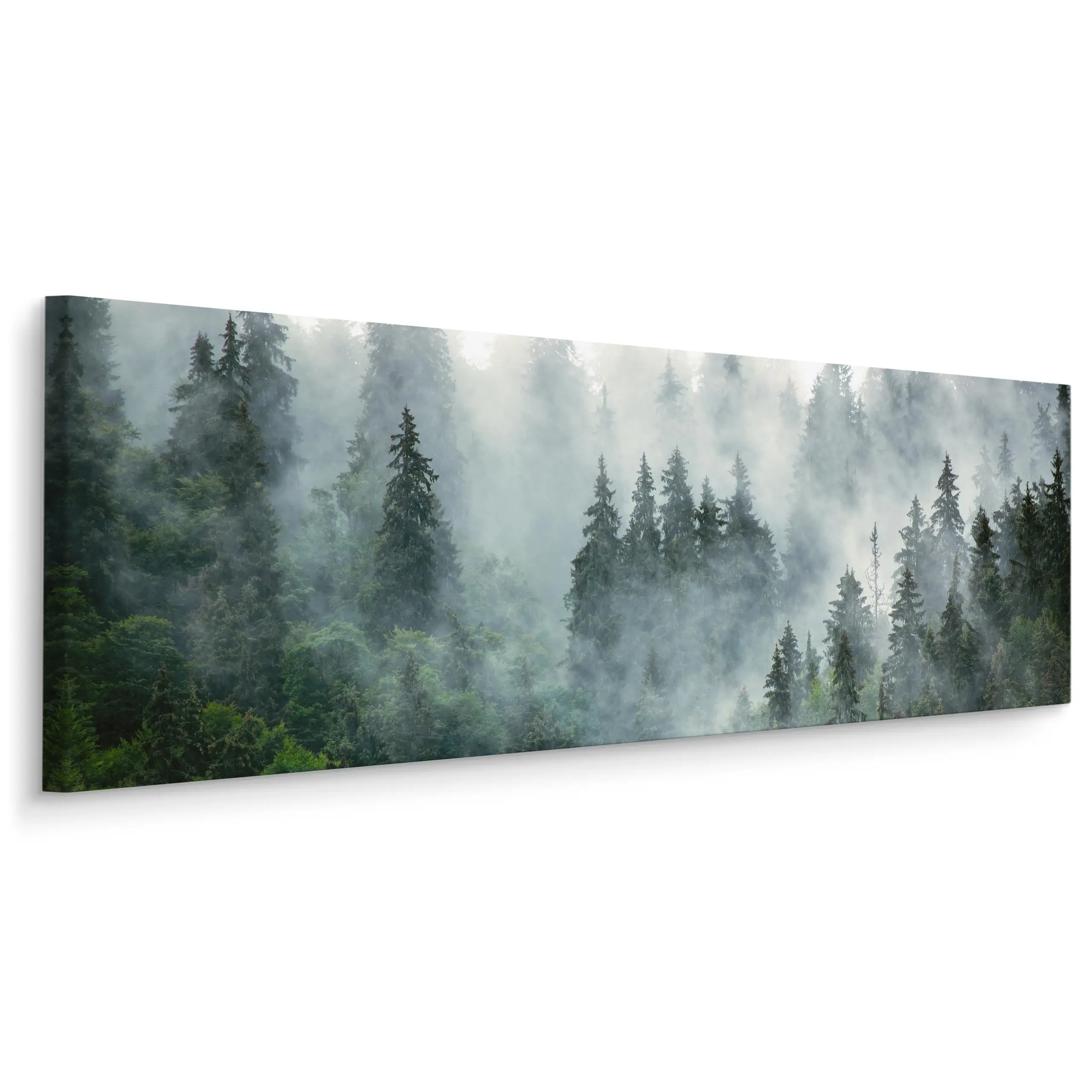 Panoramabild Nebliger Wald Landschaft 3D