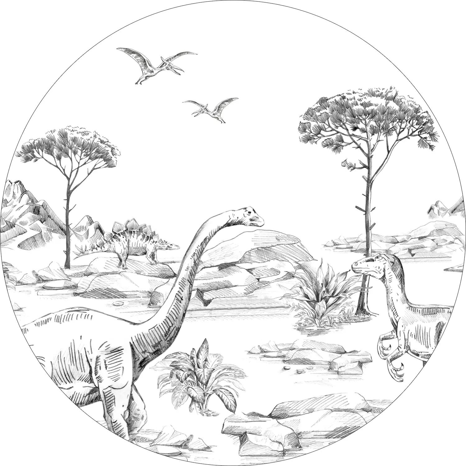 Tapete selbstklebende runde Dinosaurier