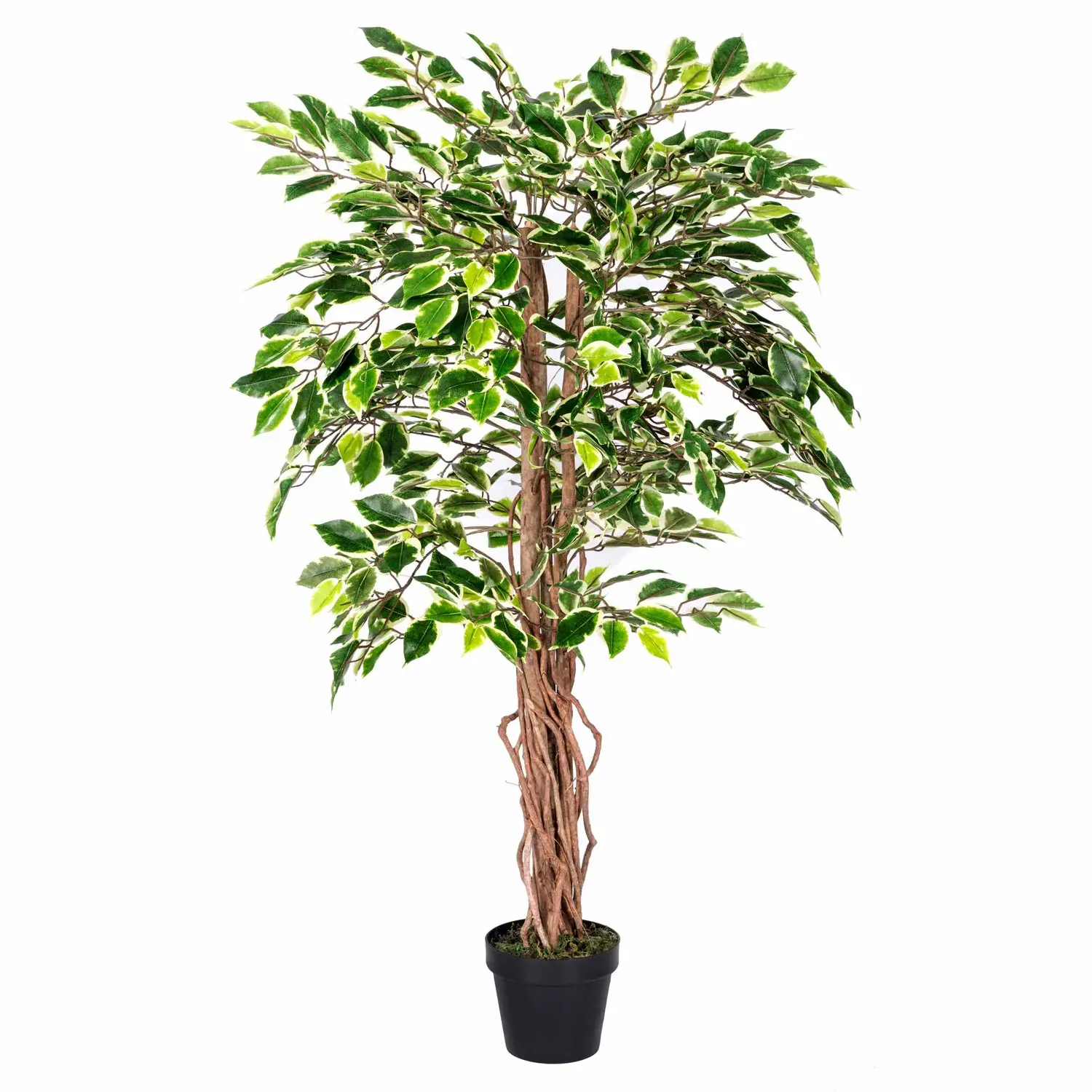 Kunstbaum Ficus Benjamini gr眉n wei脽