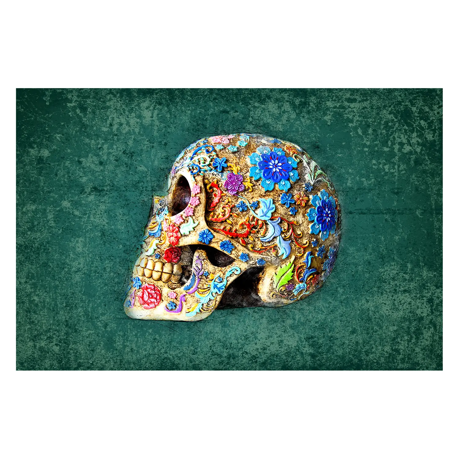 Bild Colorful Skull | Bilder