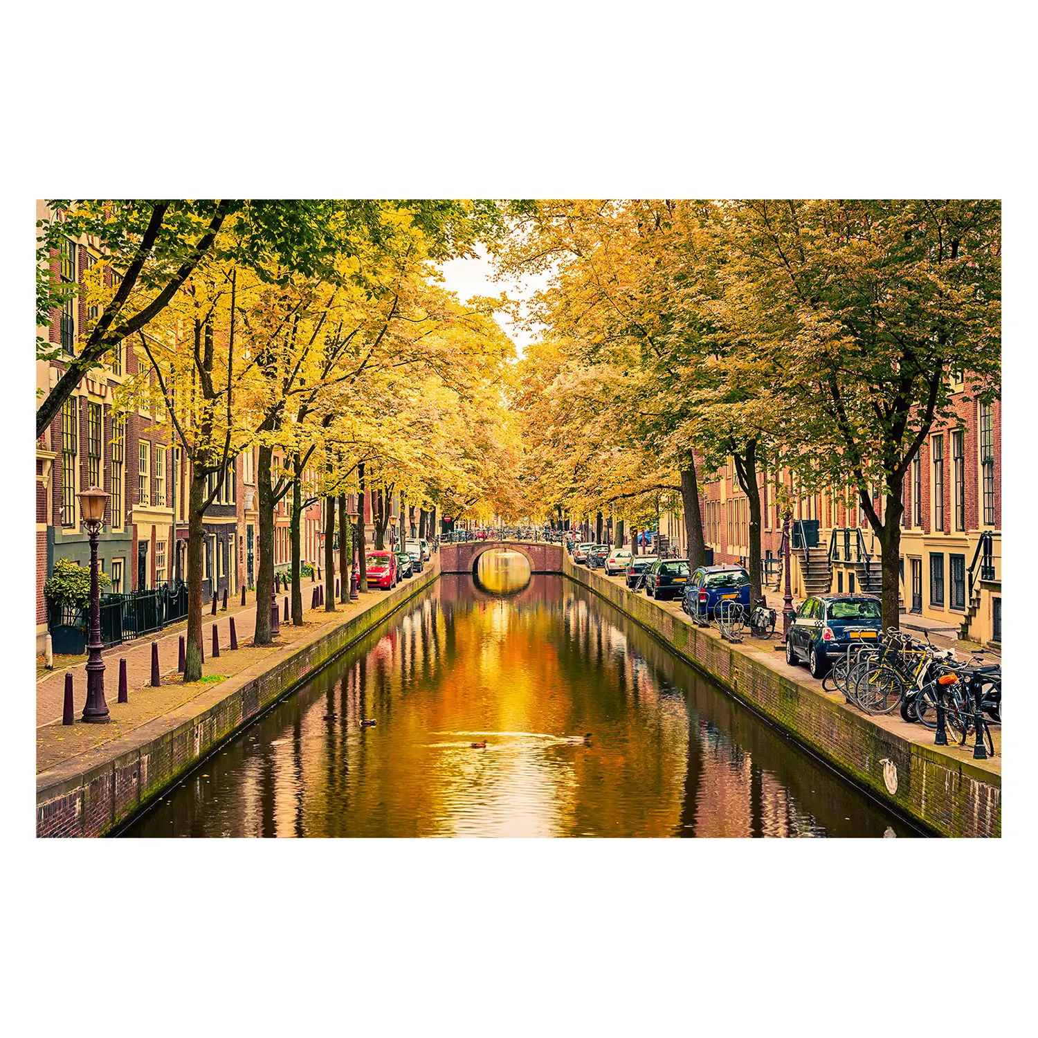 Bild Amsterdam In Autumn