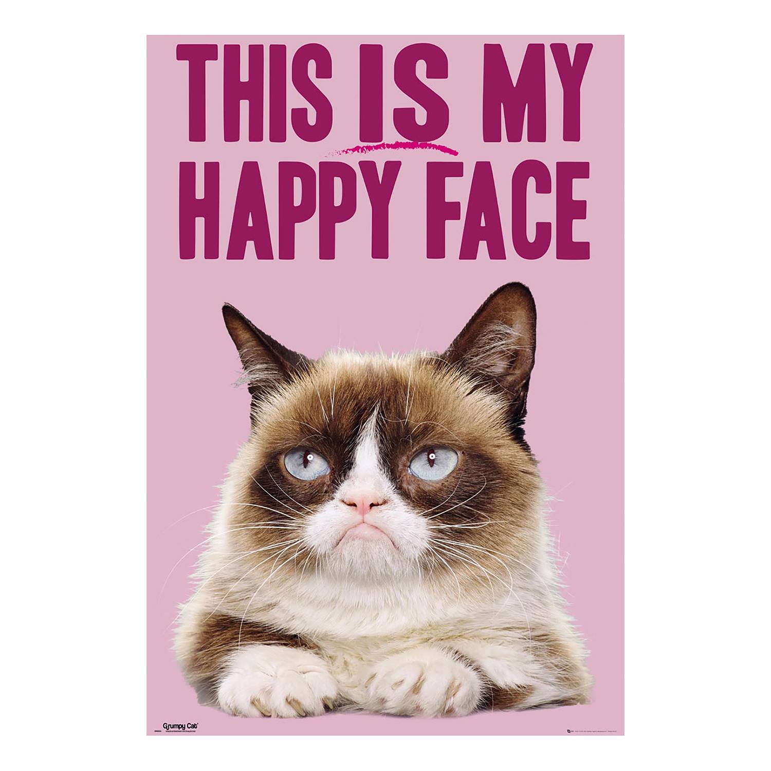 Afbeelding Grumpy Cat Reinders reinders kopen in de aanbieding Afbeelding Grumpy Cat Reinders reinders kopen in de aanbieding