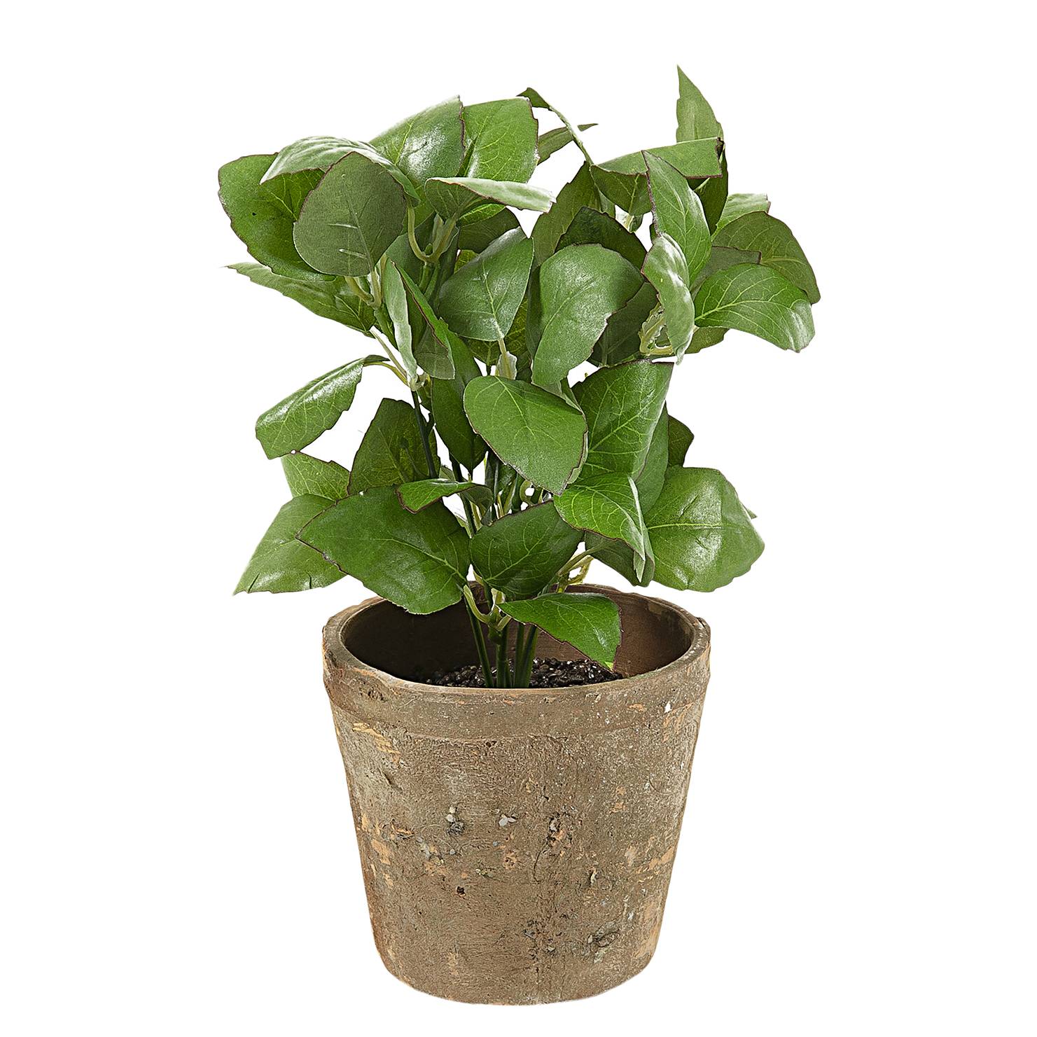 Kunstplant Cinnington Twentyfour twentyfour kopen in de aanbieding Kunstplant Cinnington Twentyfour twentyfour kopen in de aanbieding