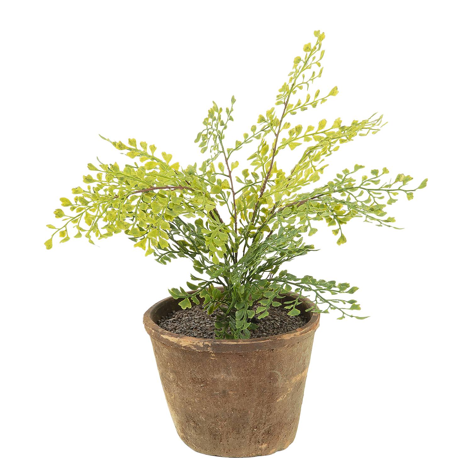 Kunstplant Birigui Twentyfour twentyfour kopen in de aanbieding