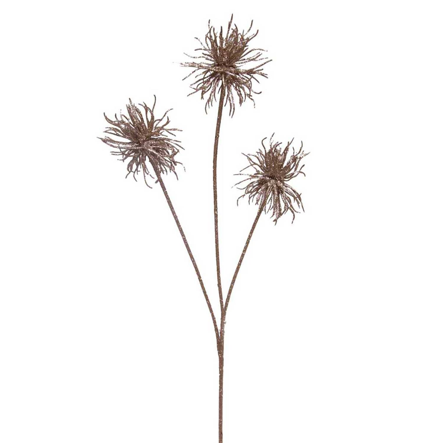 Siertwijg Prospect My Flair my flair kopen in de aanbieding