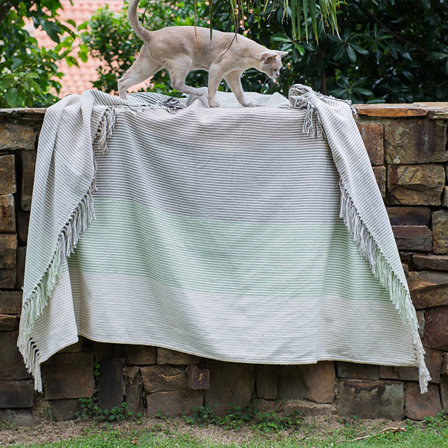 Plaid Protea Pin Stripe I