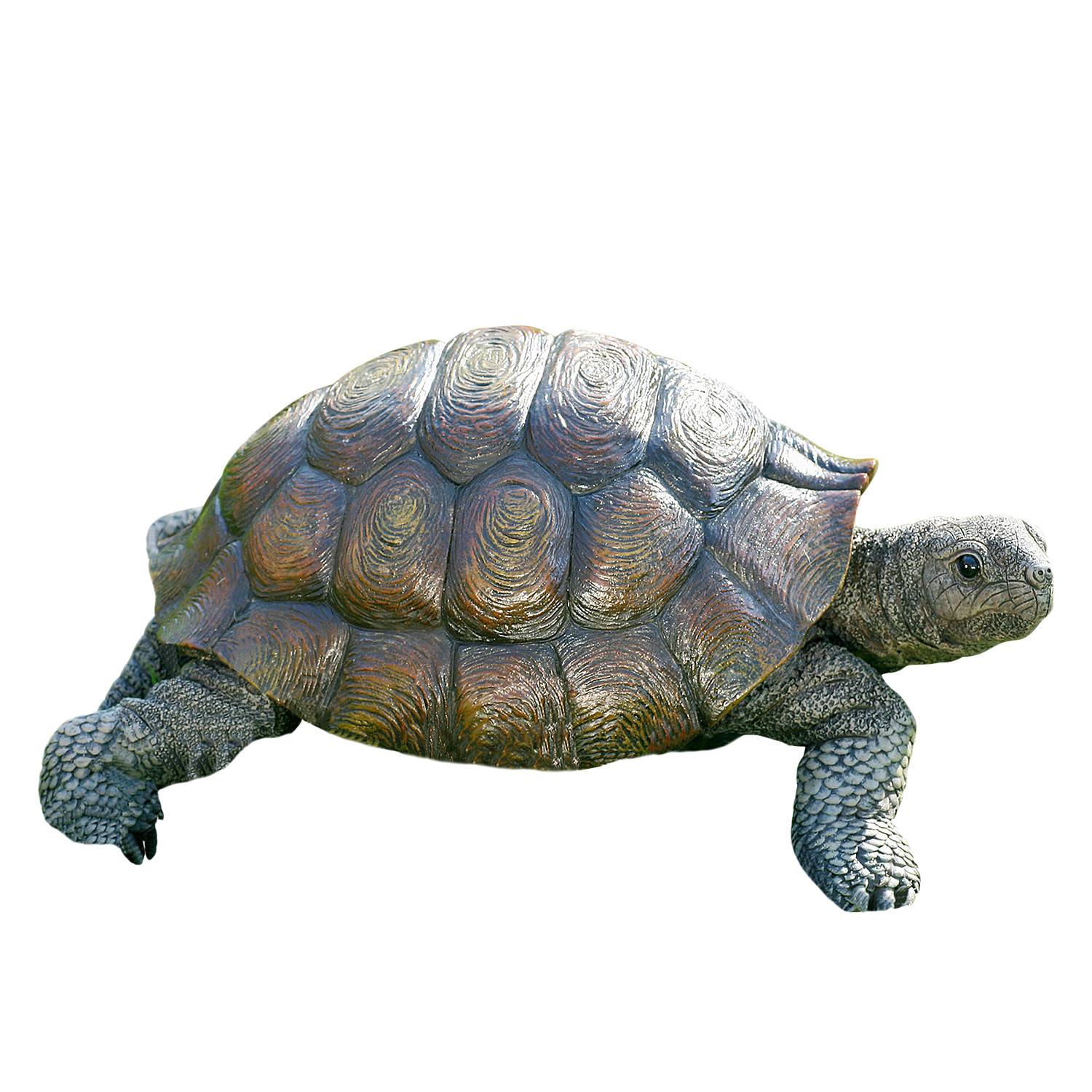Sculptuur Schildpad Boltze boltze kopen in de aanbieding Sculptuur Schildpad Boltze boltze kopen in de aanbieding