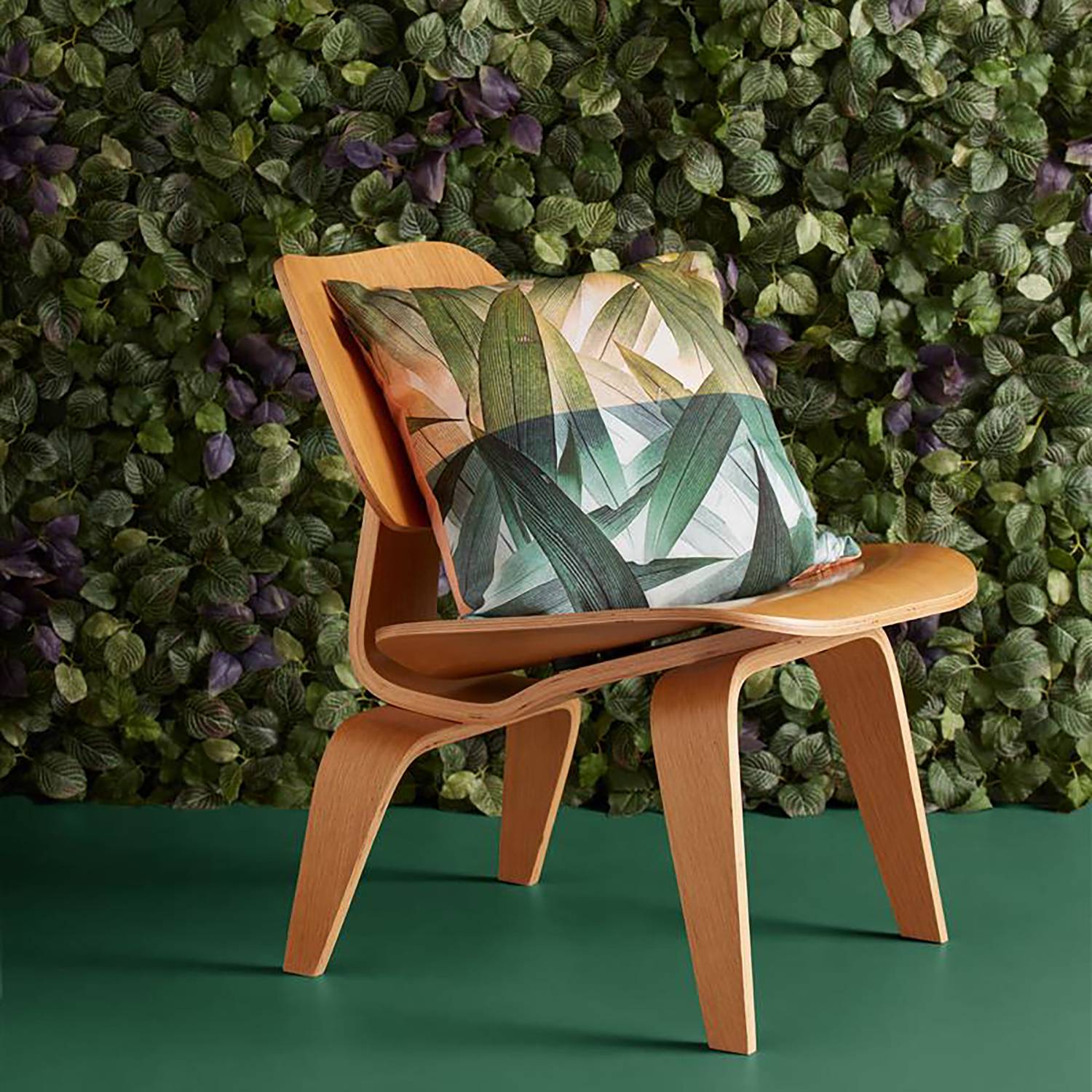 Sierkussen Tropical Kaat Amsterdam kaat amsterdam kopen in de aanbieding Sierkussen Tropical Kaat Amsterdam kaat amsterdam kopen in de aanbieding