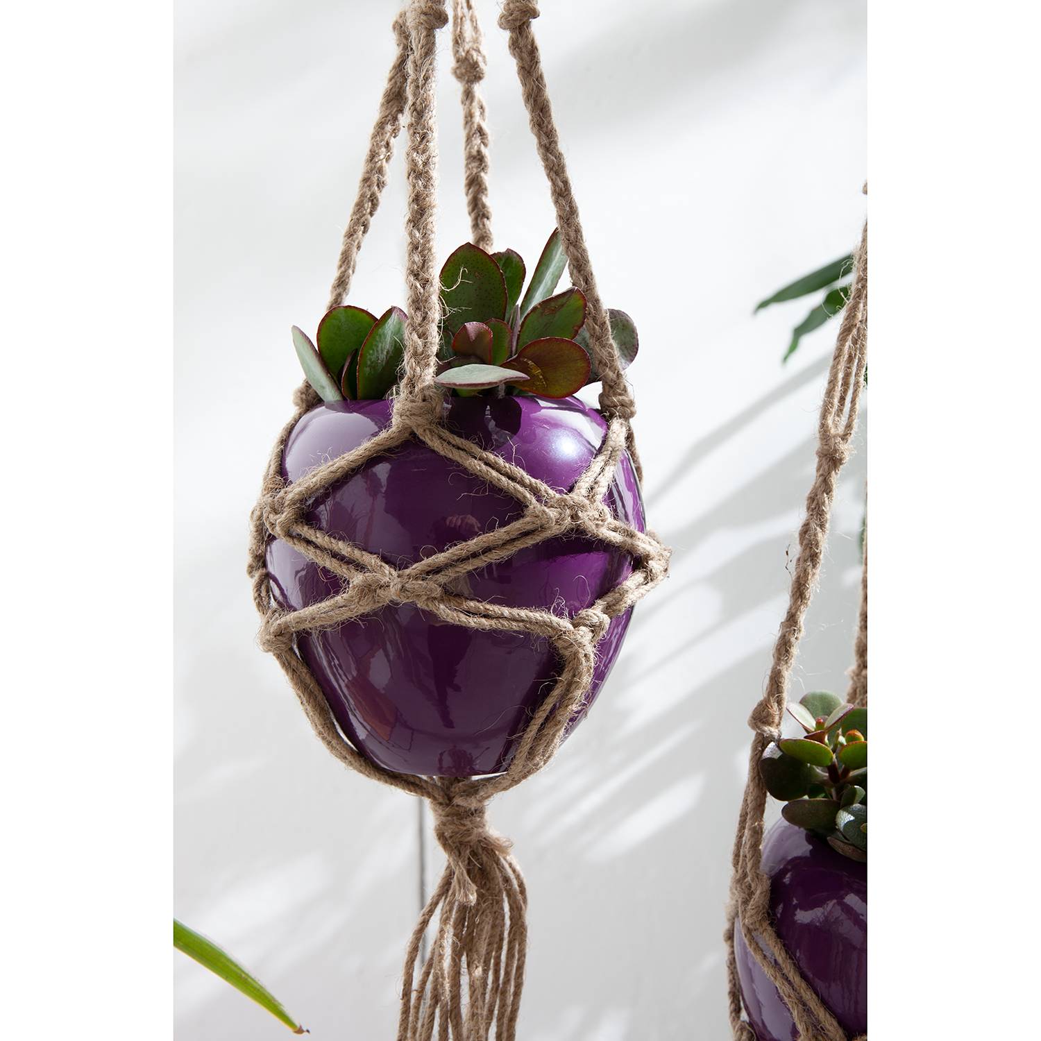 Suspensions plante Theban (lot de 2)