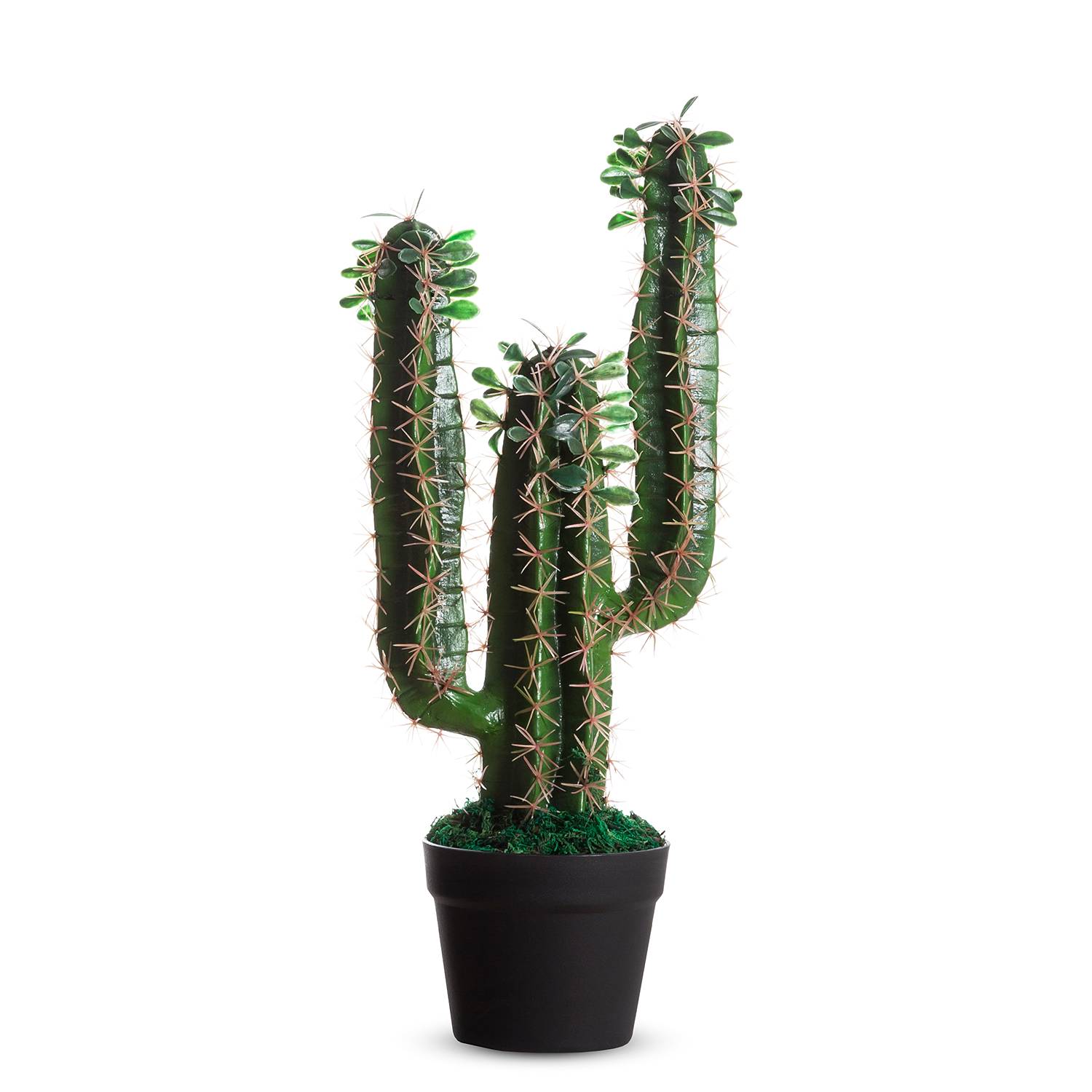 Kunstplant Cactus Ii Paperflow paperflow kopen in de aanbieding Kunstplant Cactus Ii Paperflow paperflow kopen in de aanbieding