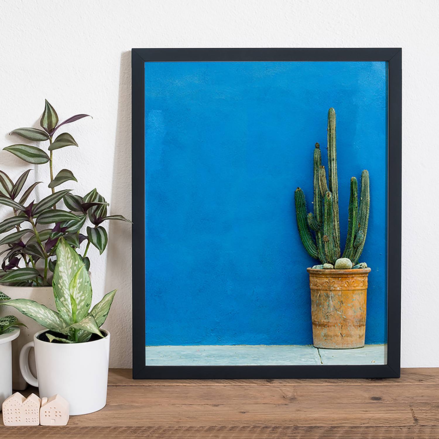 Afbeelding Blue Wall With Cactus Any Image any image kopen in de aanbieding Afbeelding Blue Wall With Cactus Any Image any image kopen in de aanbieding