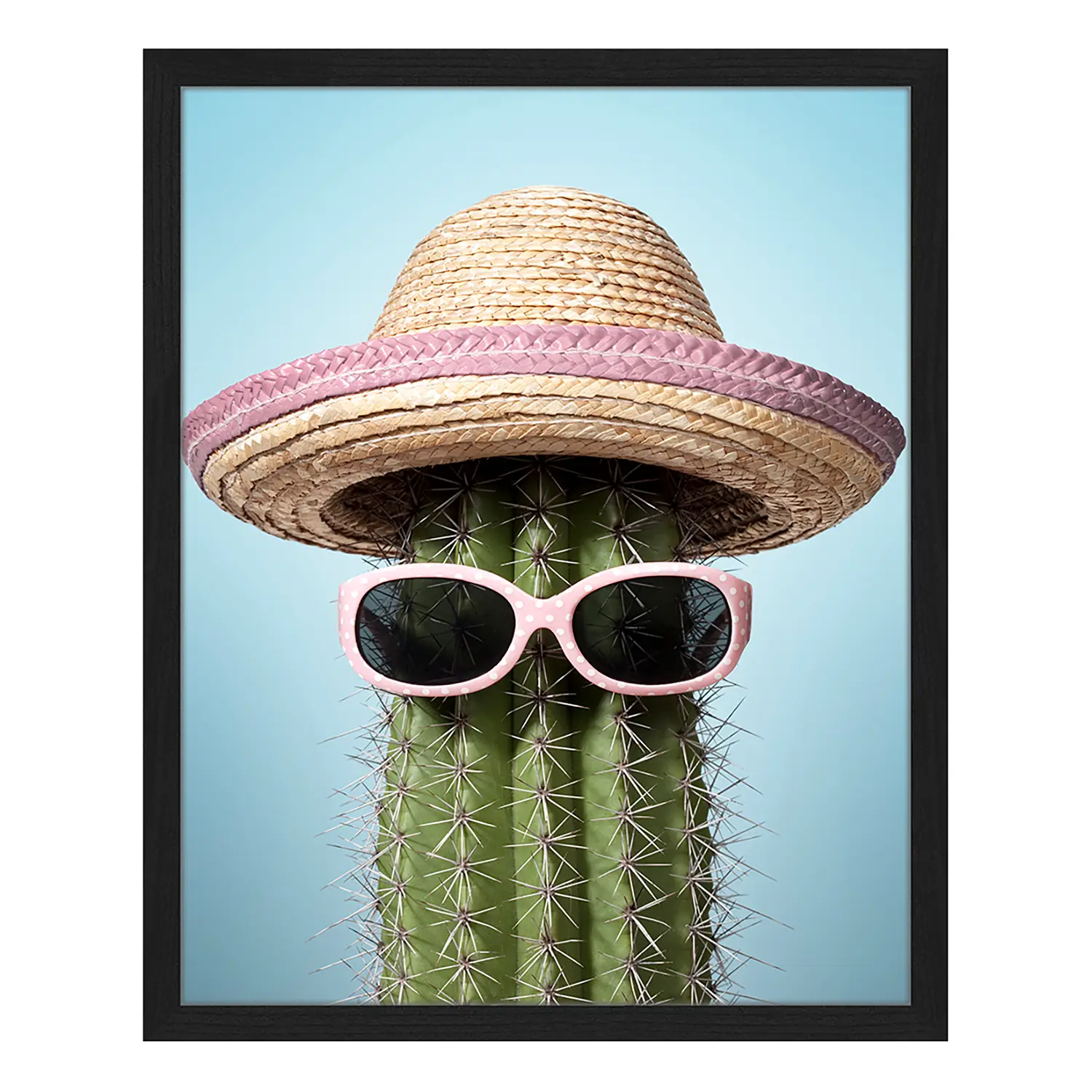 Bild mexico Pink cactus