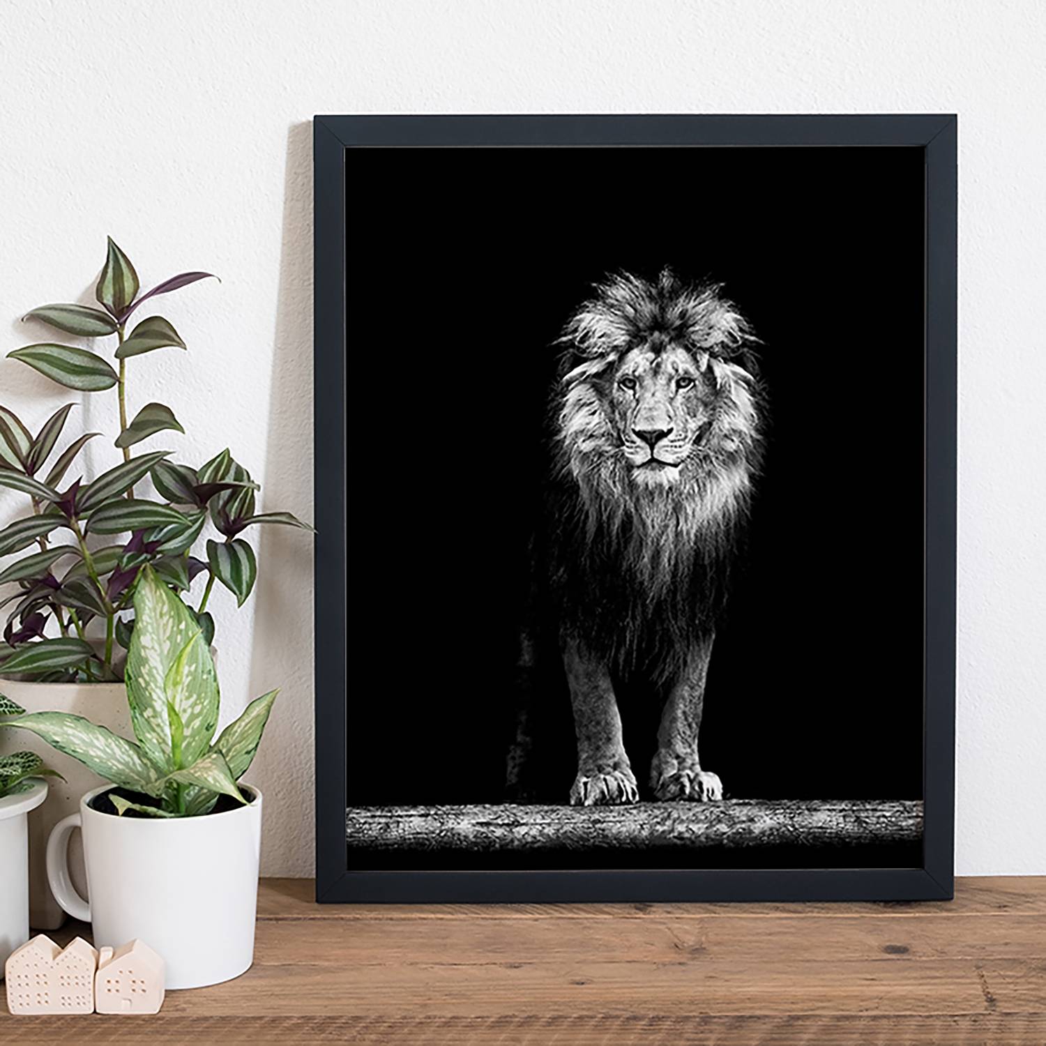 Afbeelding Beautiful Lion Any Image any image kopen in de aanbieding Afbeelding Beautiful Lion Any Image any image kopen in de aanbieding