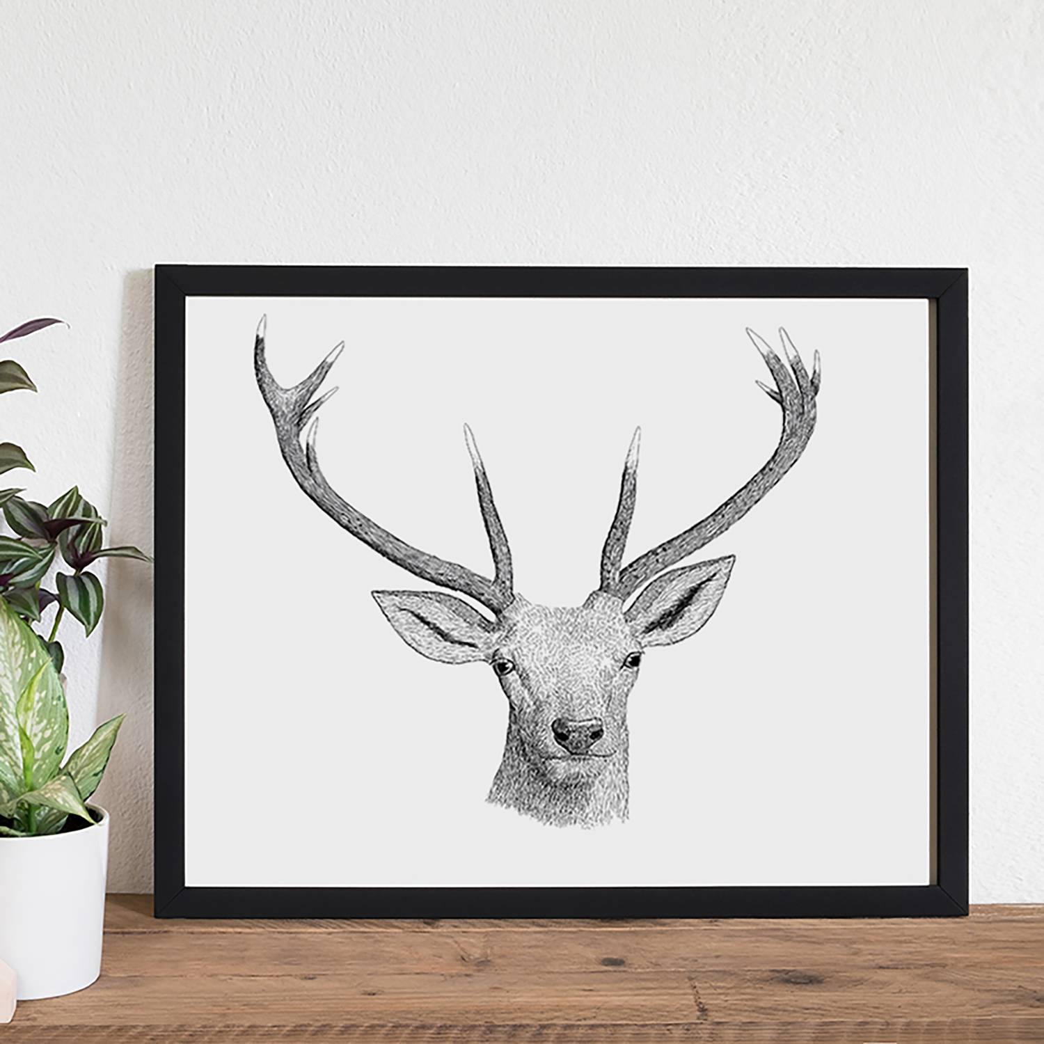Afbeelding Oh Deer Any Image any image kopen in de aanbieding Afbeelding Oh Deer Any Image any image kopen in de aanbieding