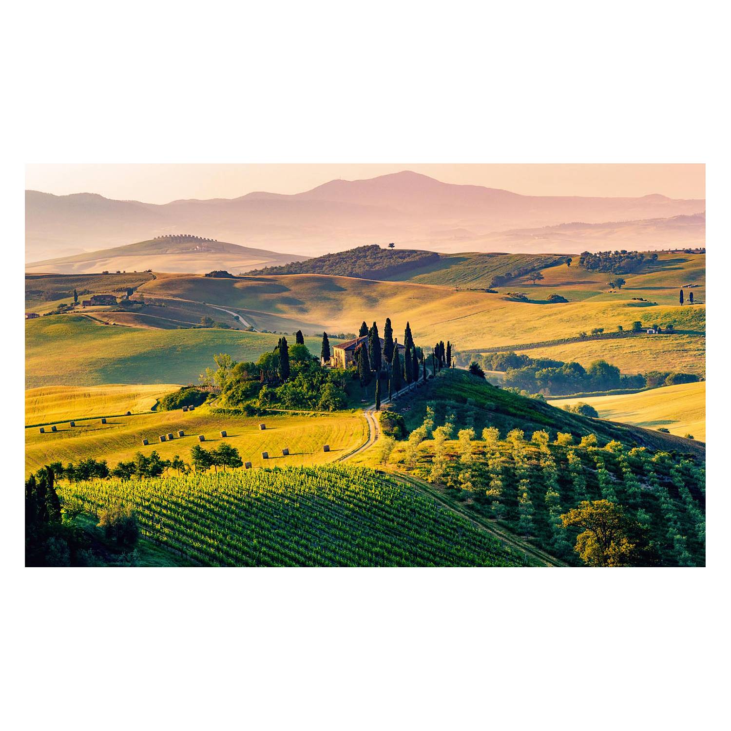 Bild Toskana kaufen | home24