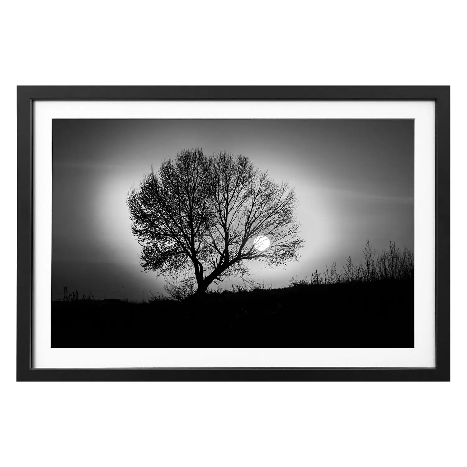 Bild Lonely Tree