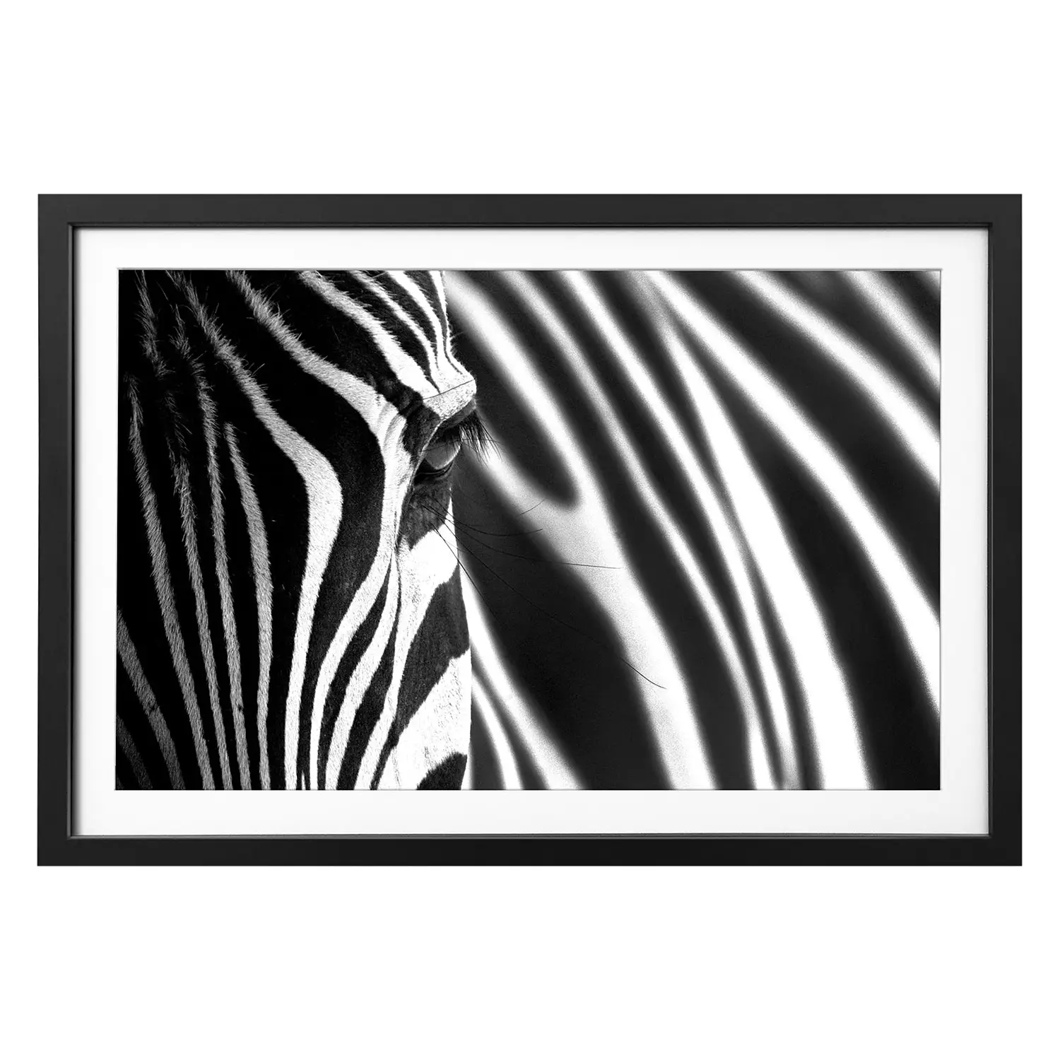 Animal Stripes Bild