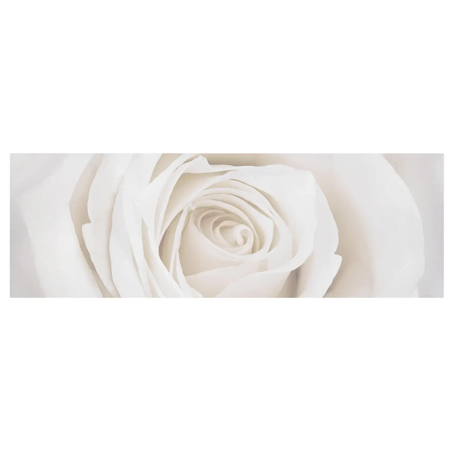 Bild Pretty White Rose I