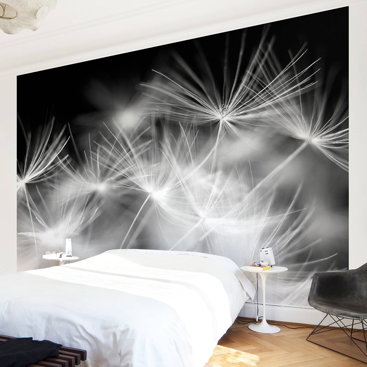 Papier peint fleur de pissenlit