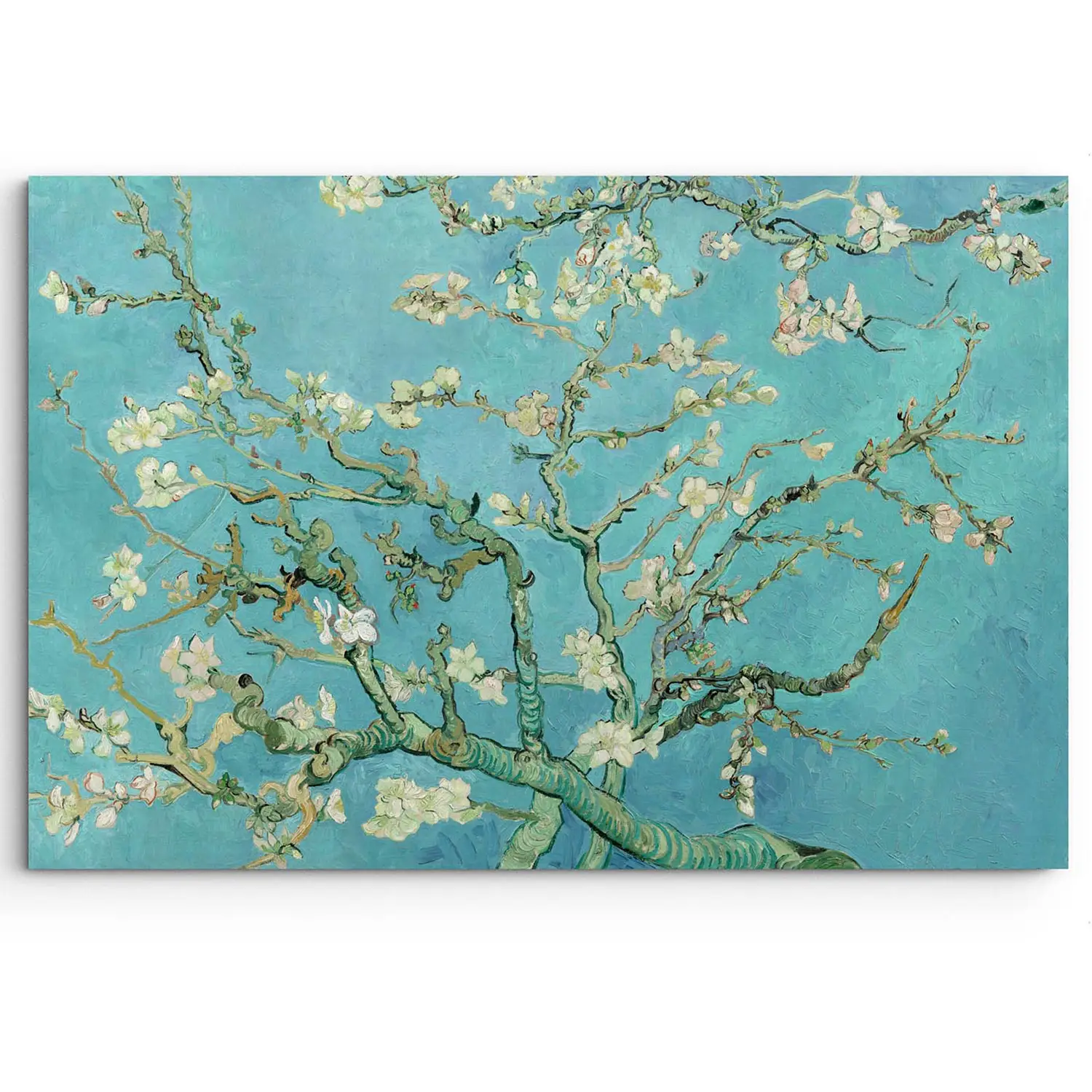 Gogh Mandelblüte Van Bild