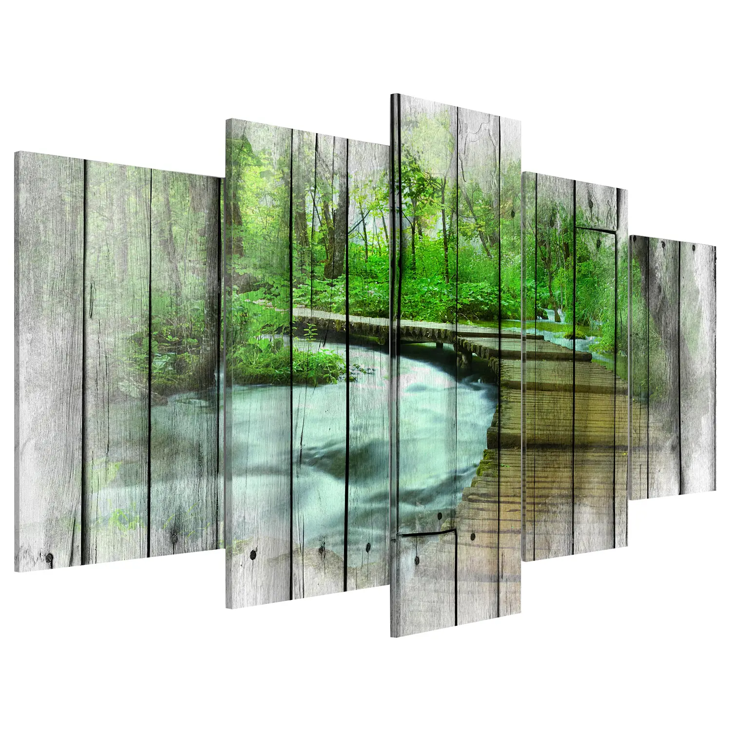 Acrylglasbild Forest of Secrets | Bilder