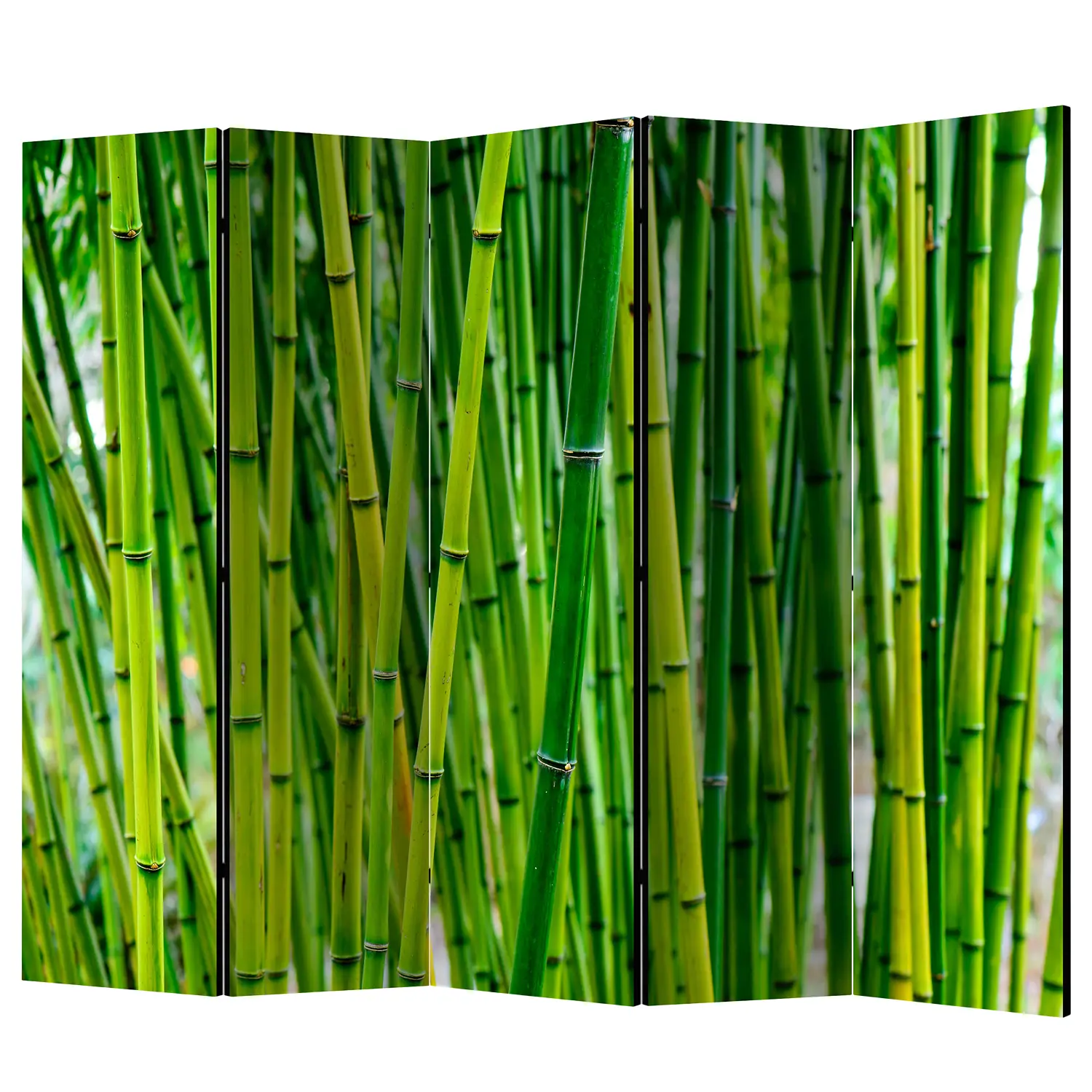 Forest Paravent Bamboo