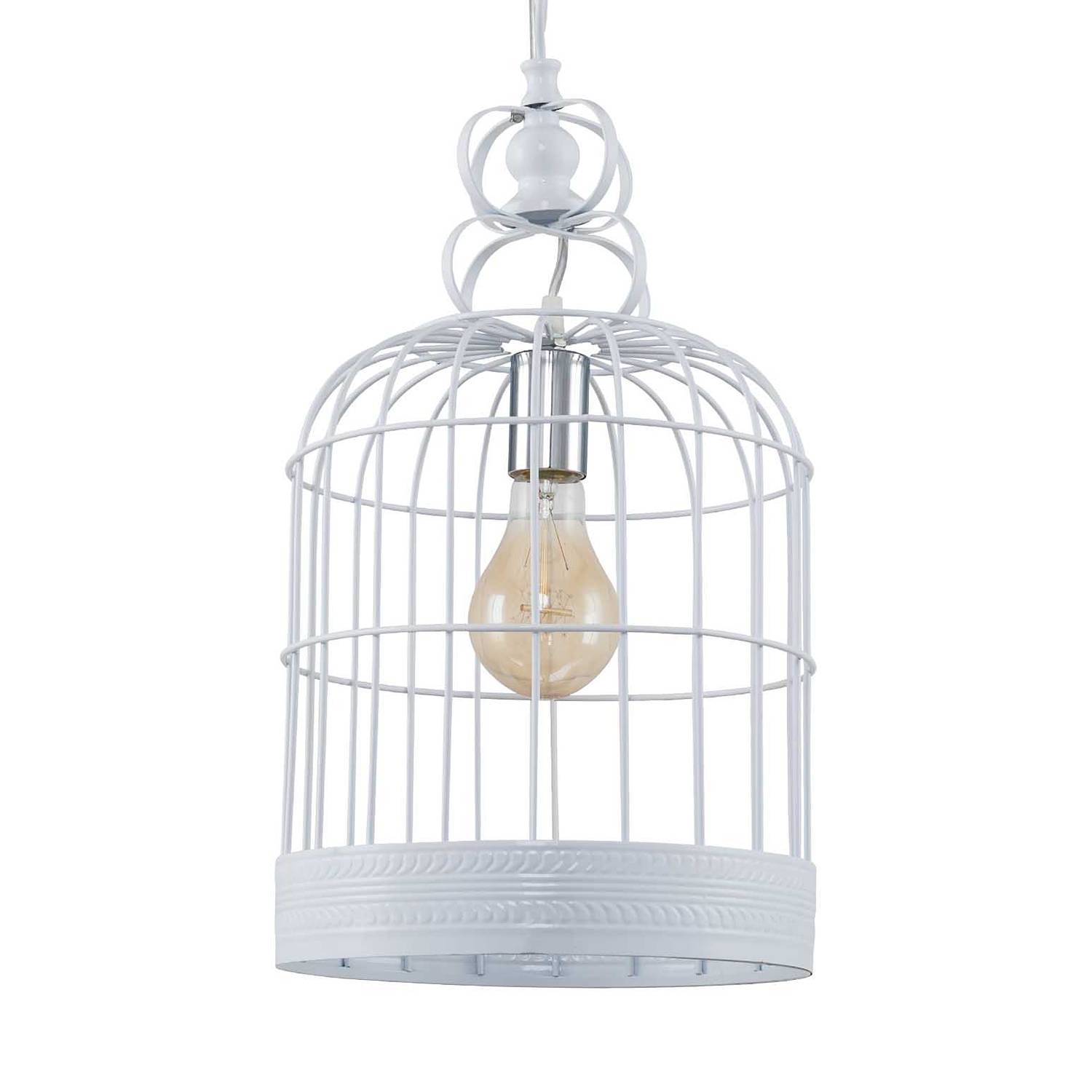 Suspension Cage I