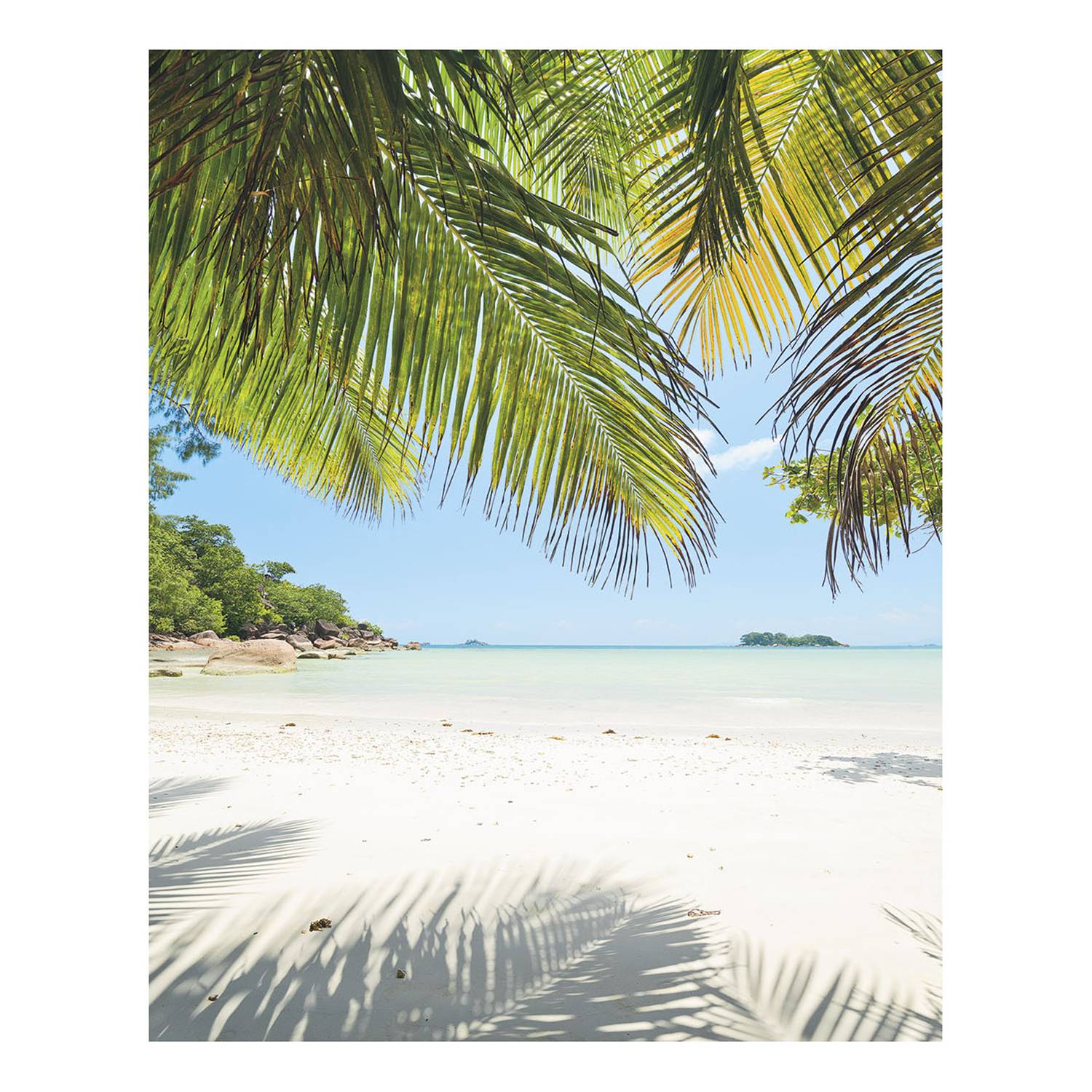 Papier peint intissé Under The Palmtree