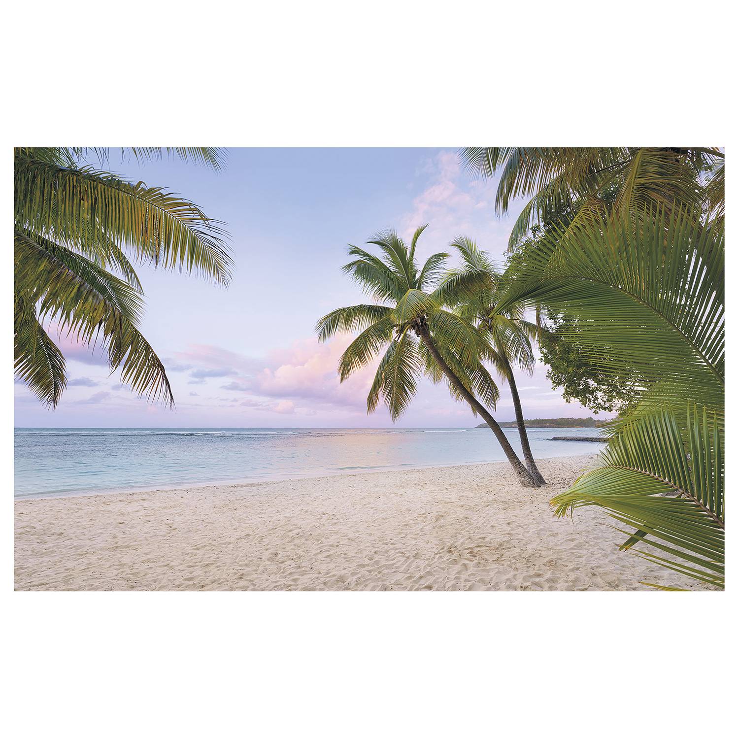 Papier peint intissé Paradise Morning